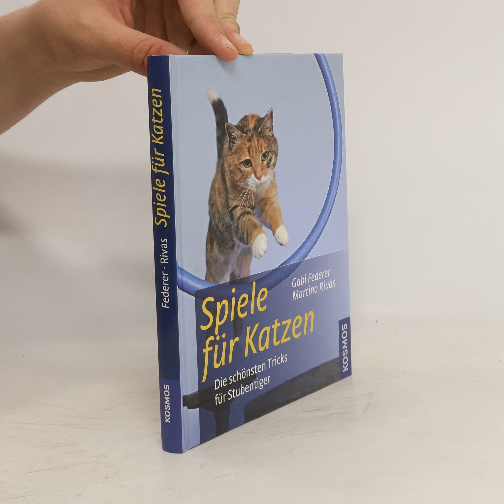 Gabi Federer Spiele für Katzen