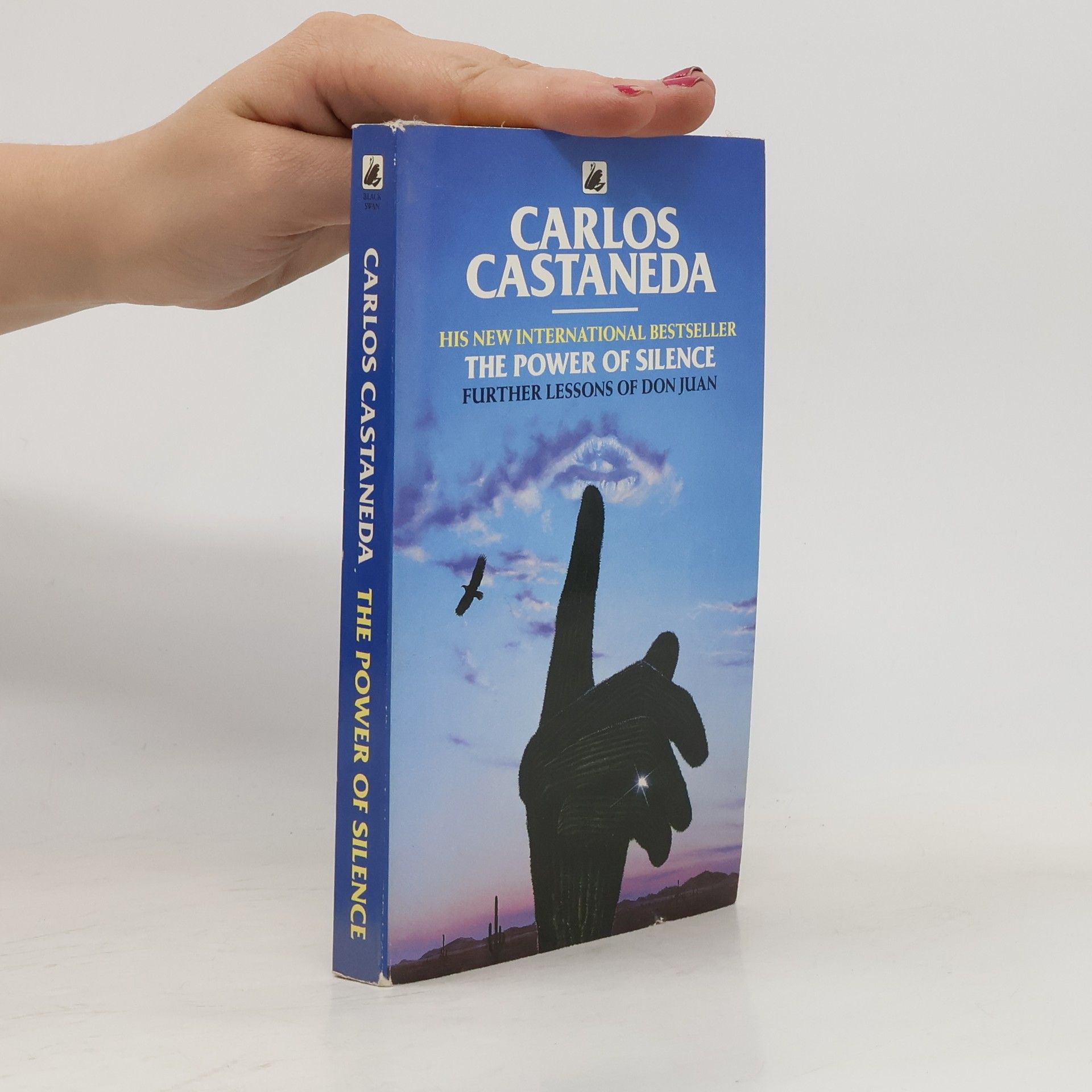 Carlos Castaneda Power of Silence