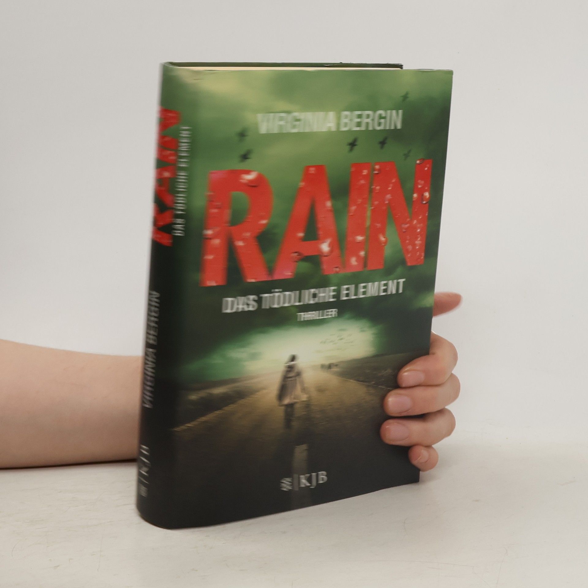 Virginia Bergin Rain - das tödliche Element