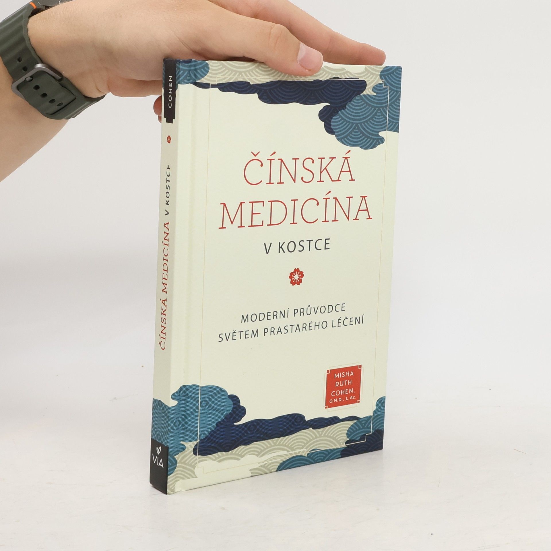 Misha Ruth Cohen Čínská medicína v kostce : moderní průvodce světem prastarého léčení