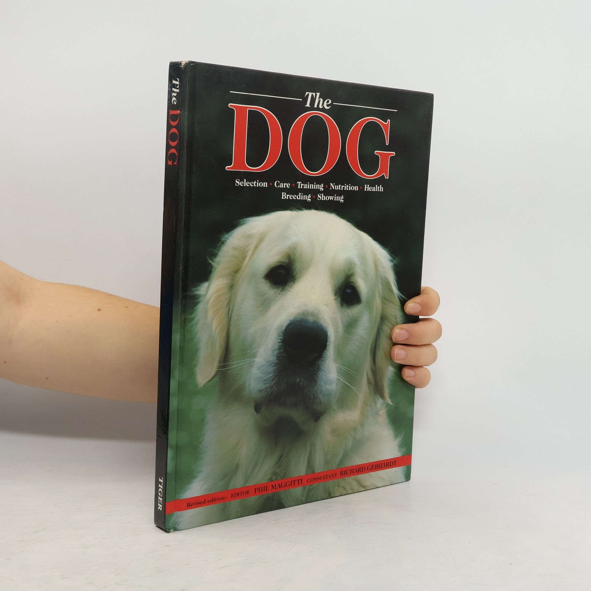 Phil Maggitti The Dog