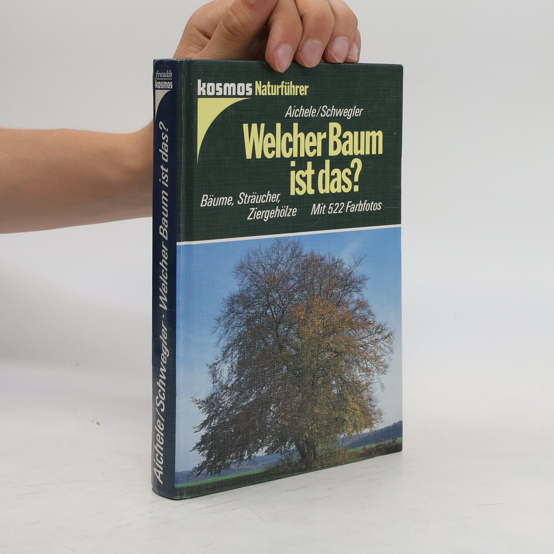 Dietmar Aichele Welcher Baum ist das?