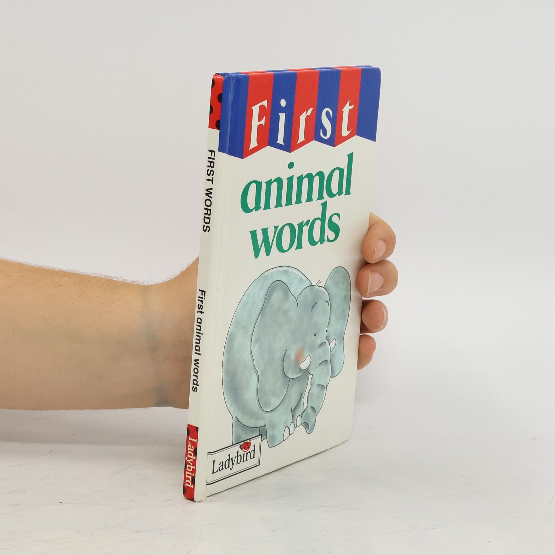 Lynne Farmer First Animal Words