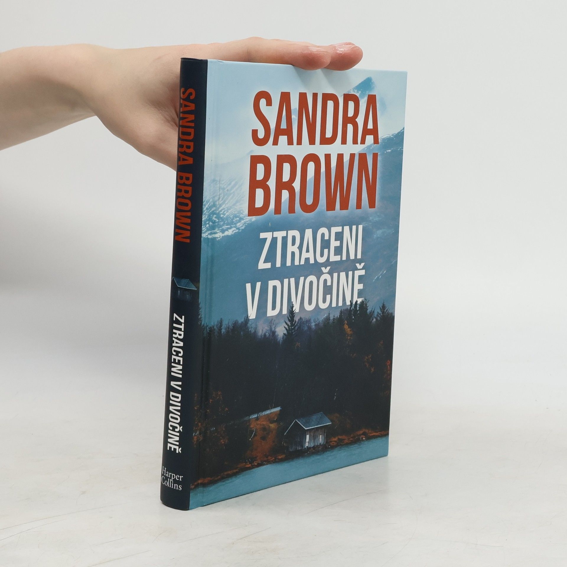 Sandra Brown Ztraceni v divočině