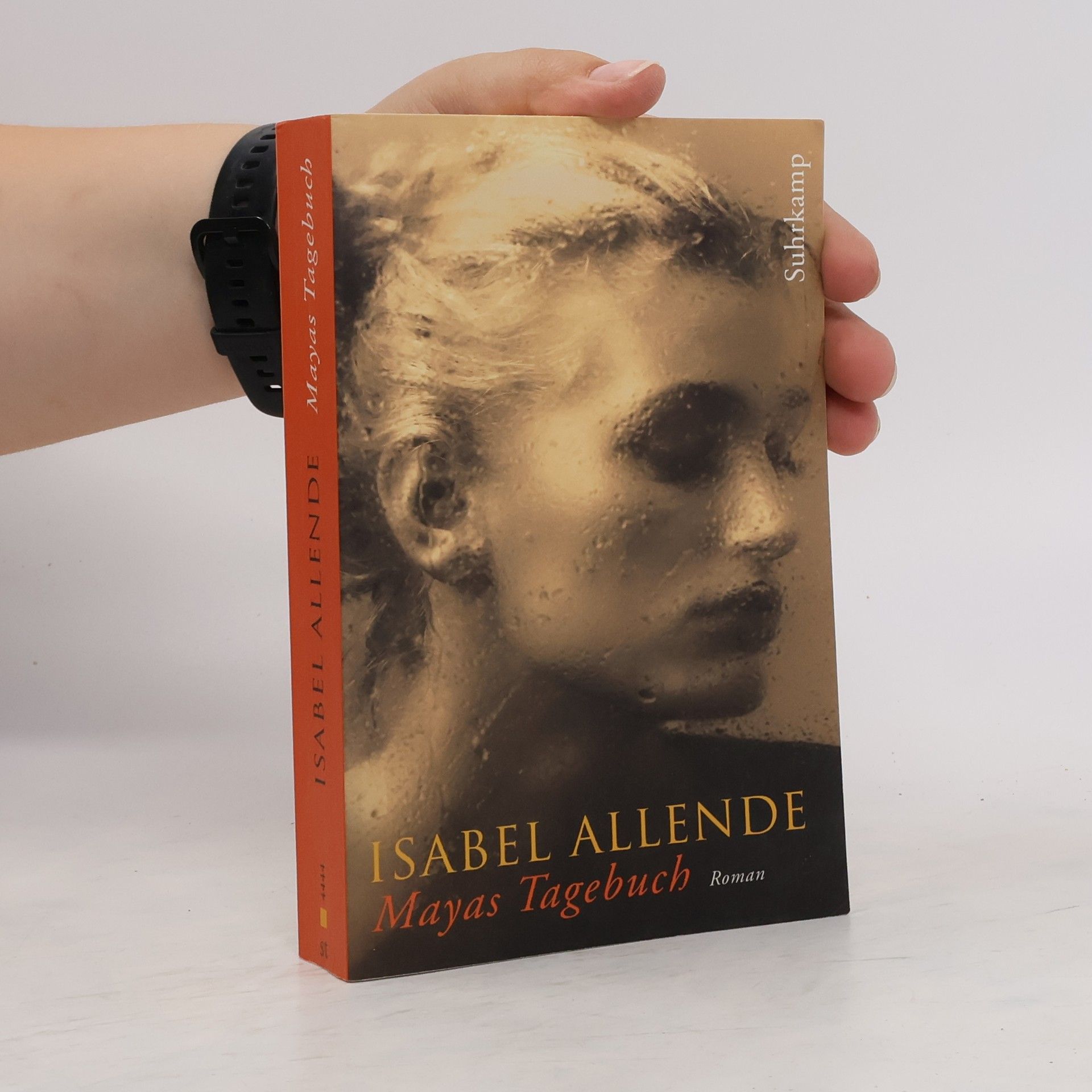 Isabel Allende Mayas Tagebuch