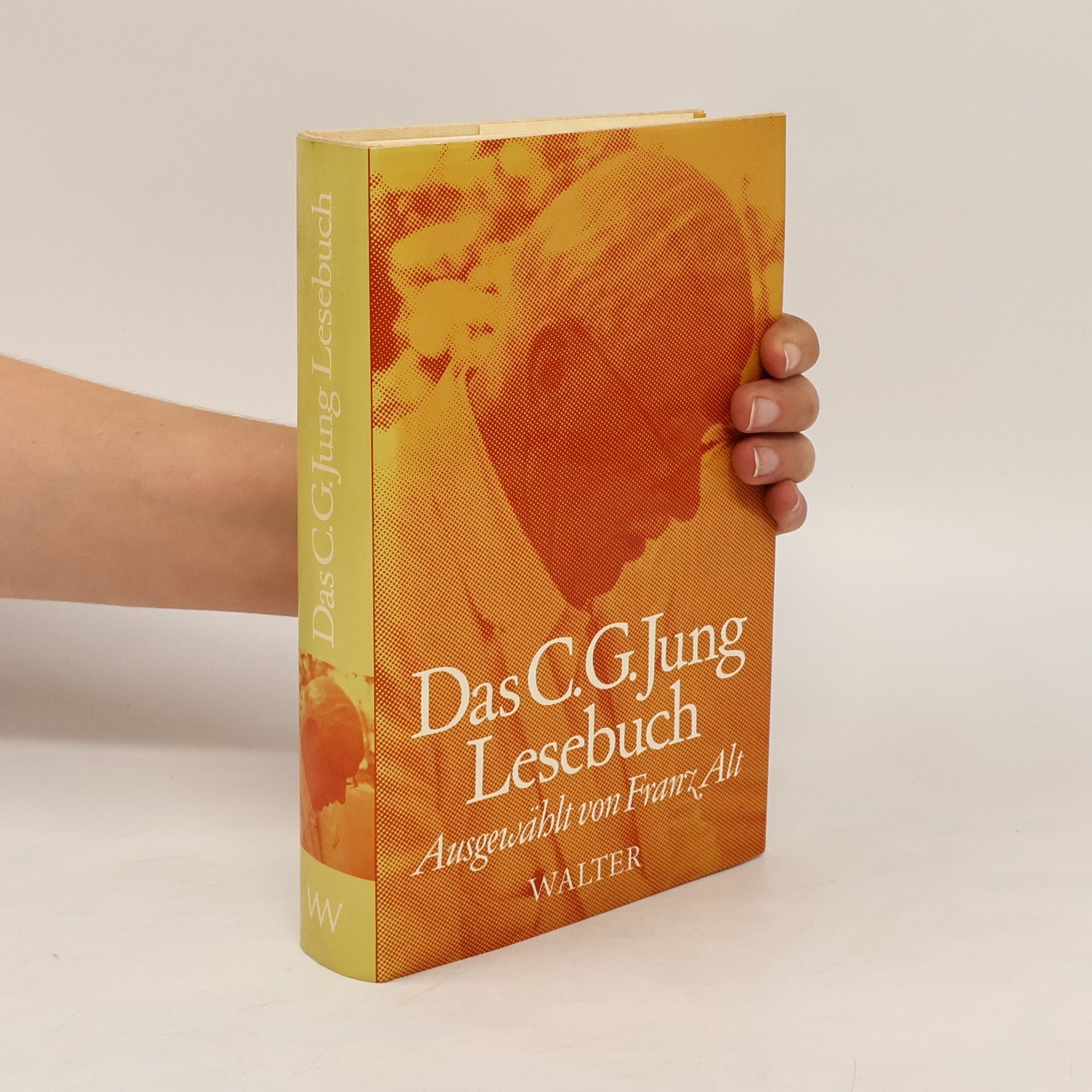 Carl Gustav Jung Das C.-G.-Jung-Lesebuch