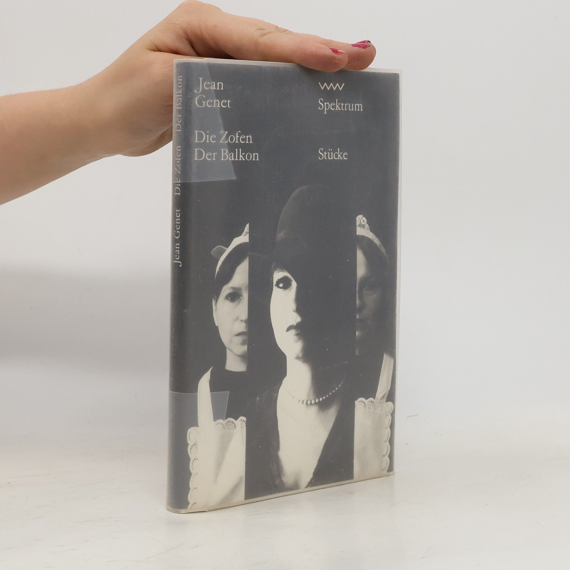 Jean Genet Die Zofen Der Balkon