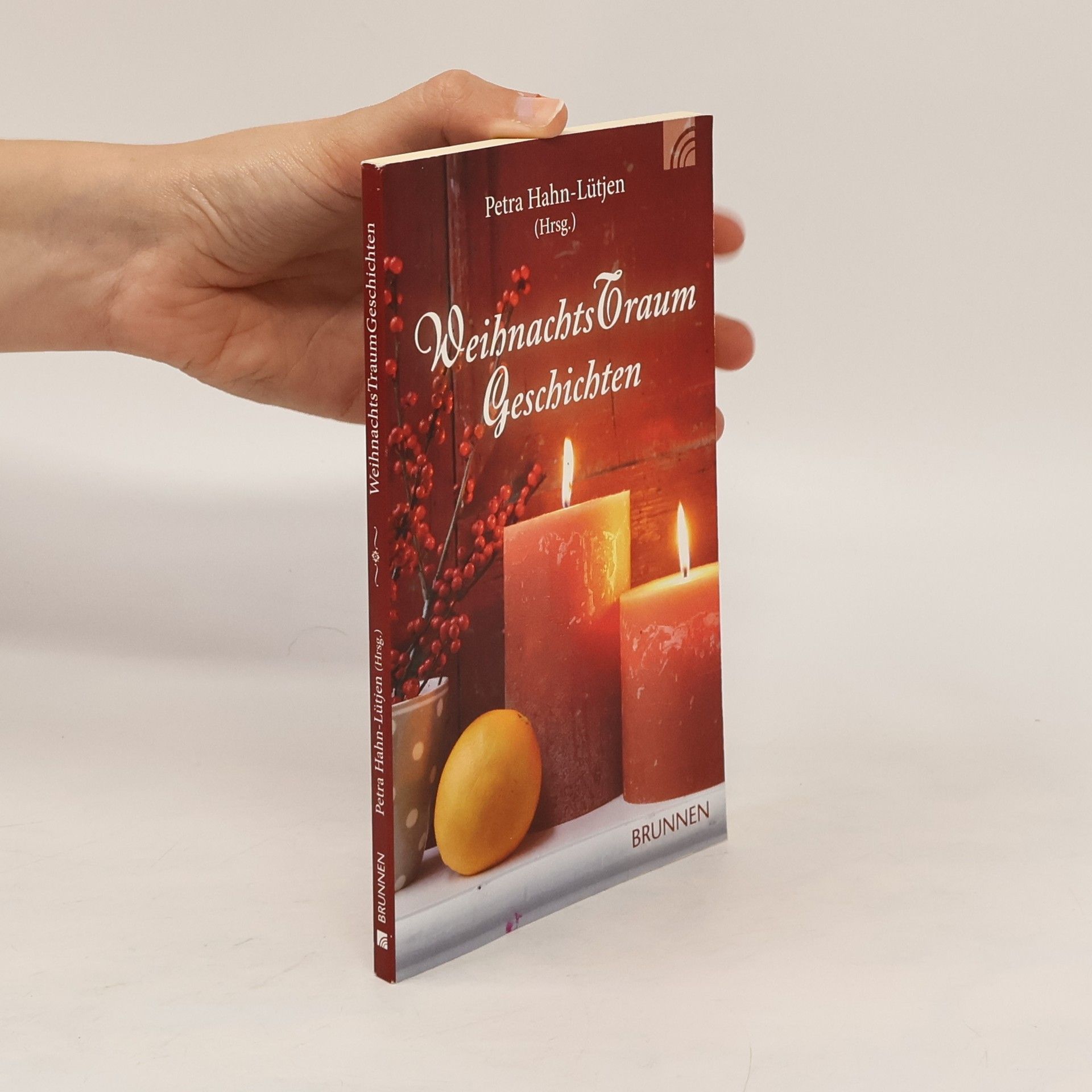 Petra Hahn-Lütjen WeihnachtsTraumGeschichten