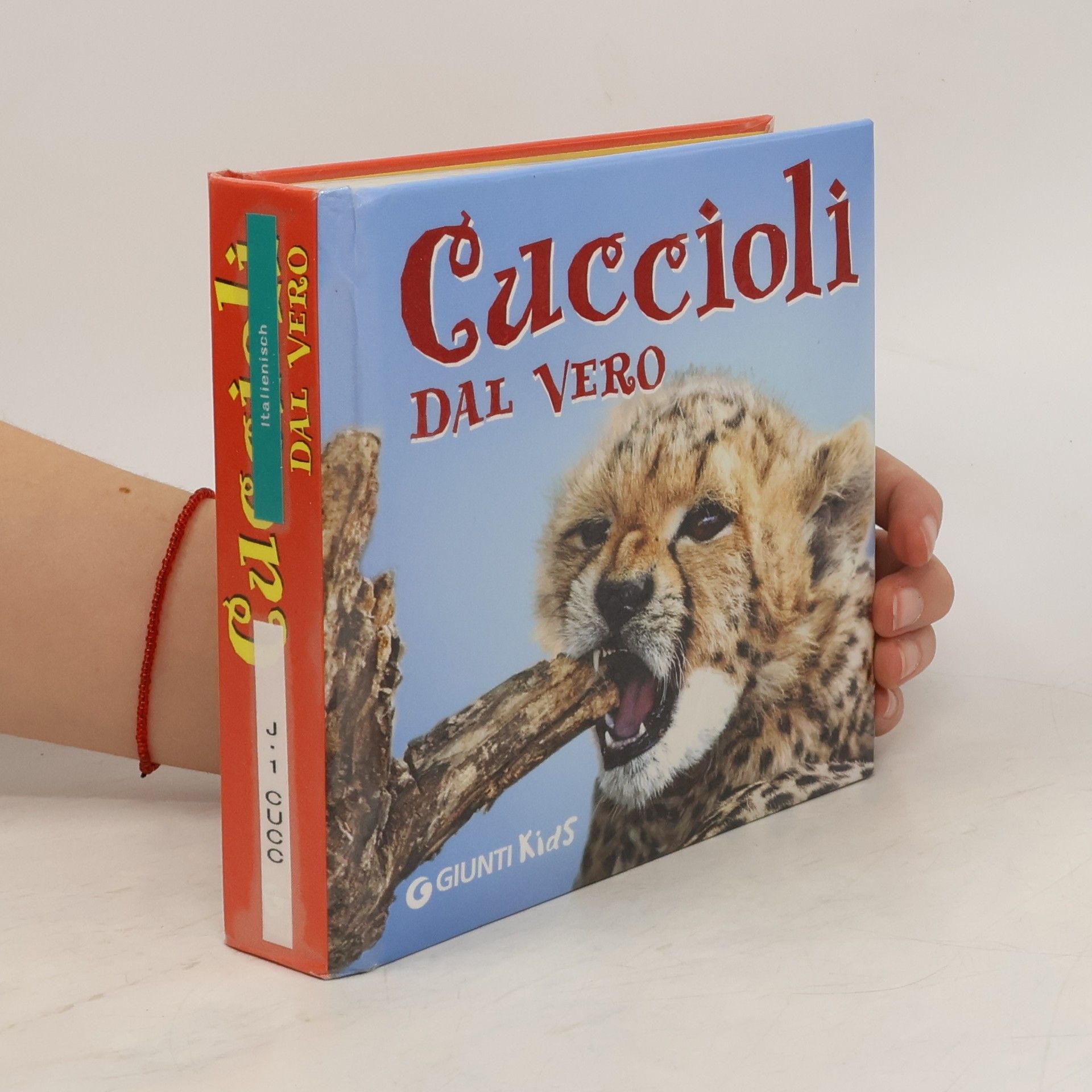 Paola Fabris Cuccioli dal vero