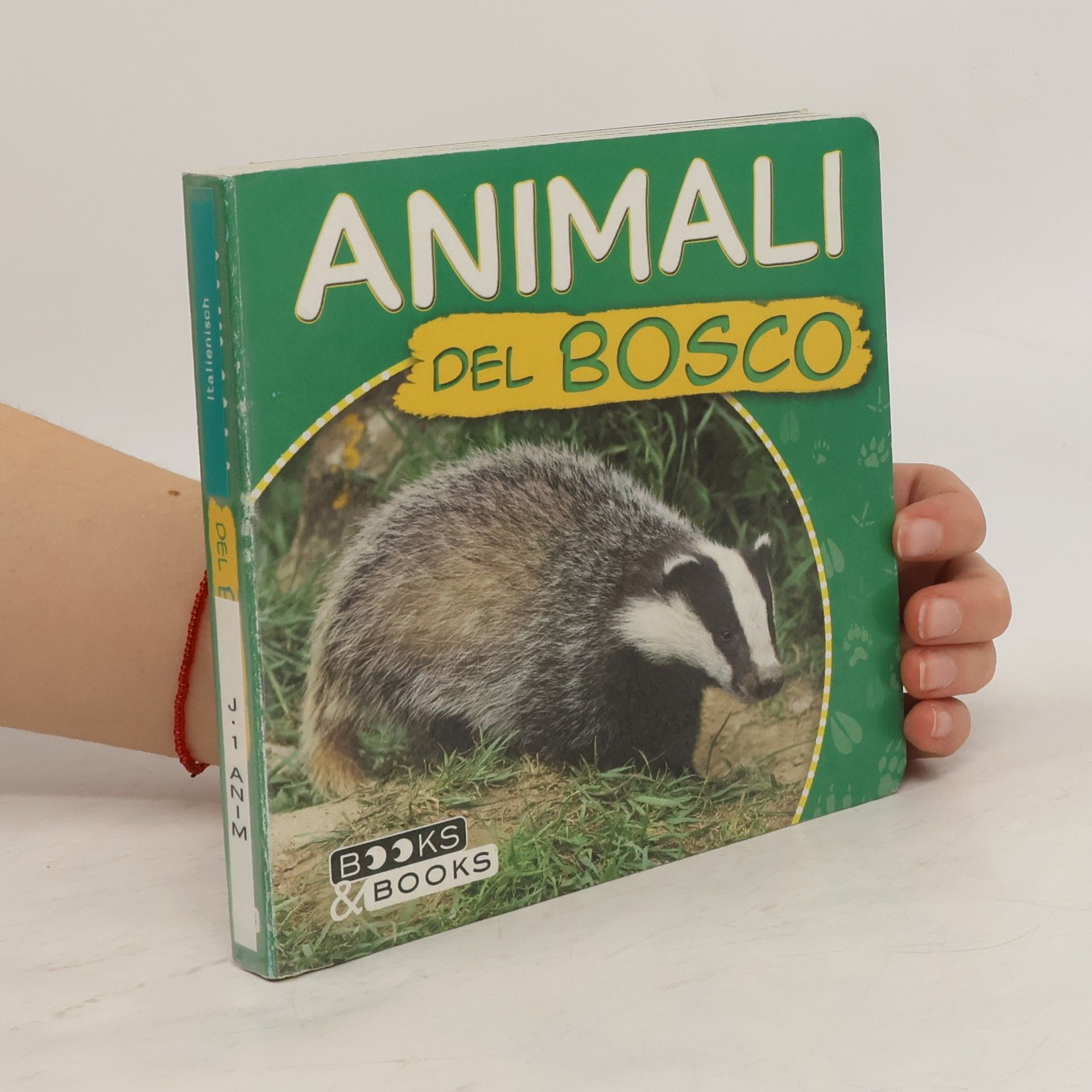 Martina Boschi Animali del bosco