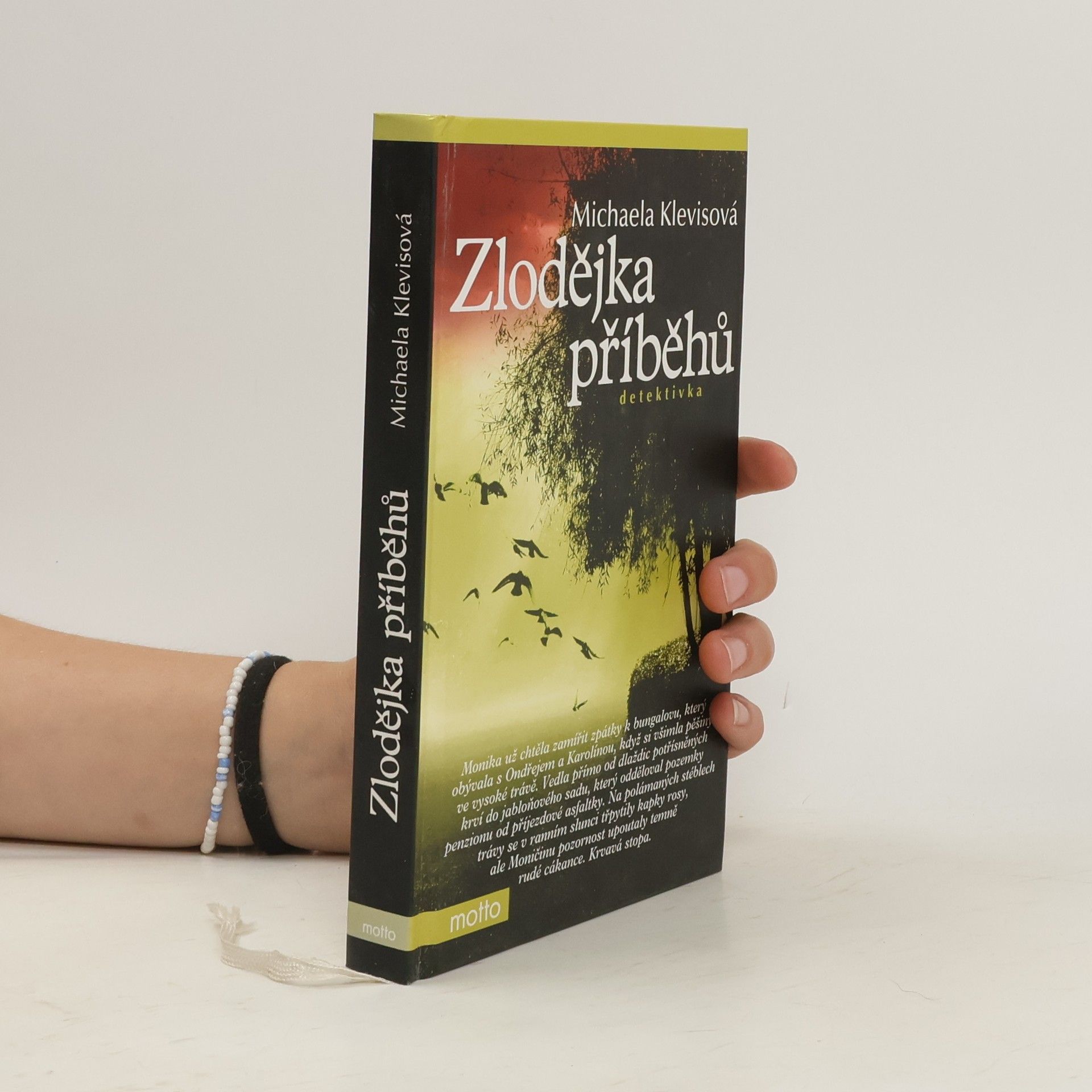 Michaela Klevisová Zlodějka příběhů