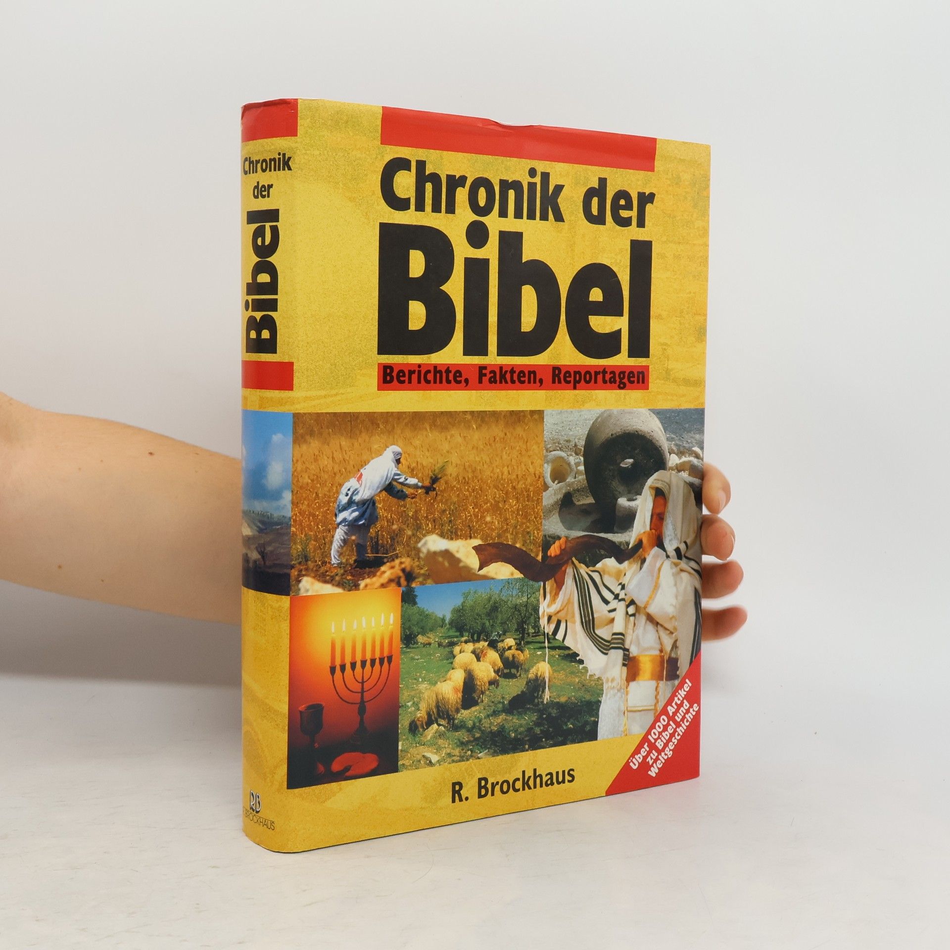 Derek Williams Chronik der Bibel. Berichte, Fakten, Reportagen. Über 1.000 Artikel zu Bibel u. Weltgeschichte