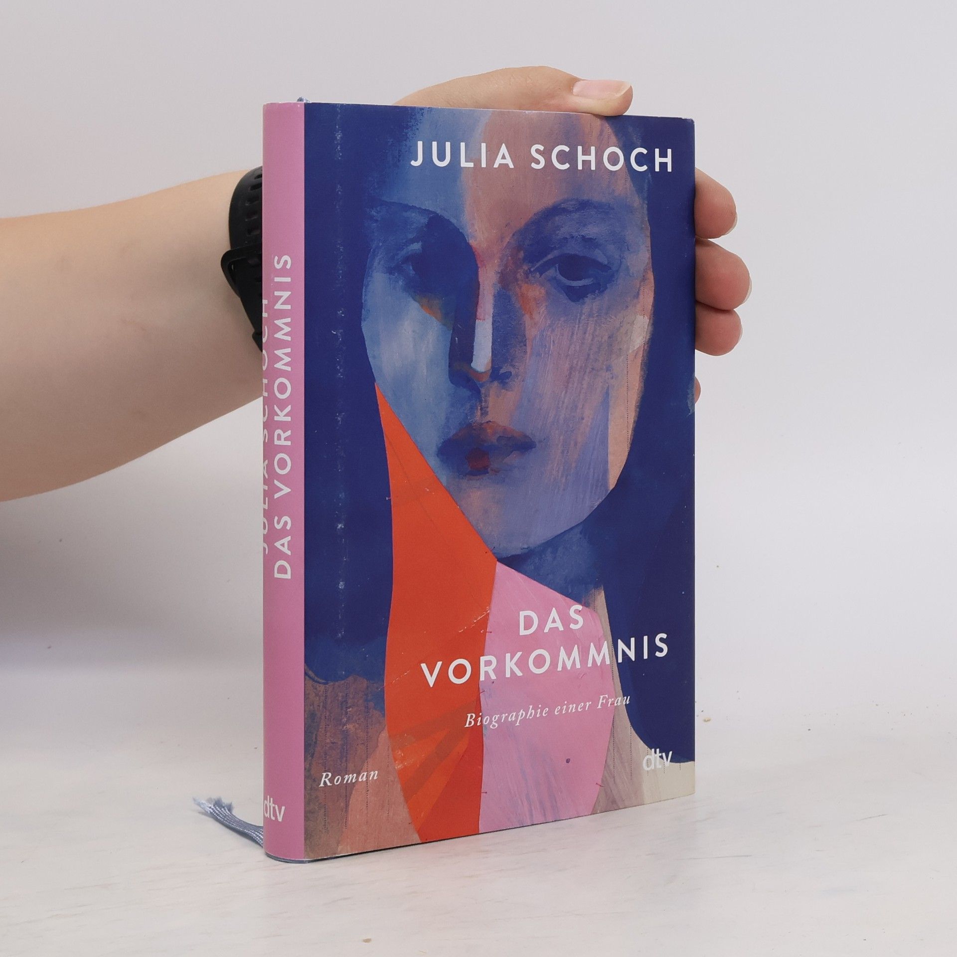 Julia Schoch Das Vorkommnis