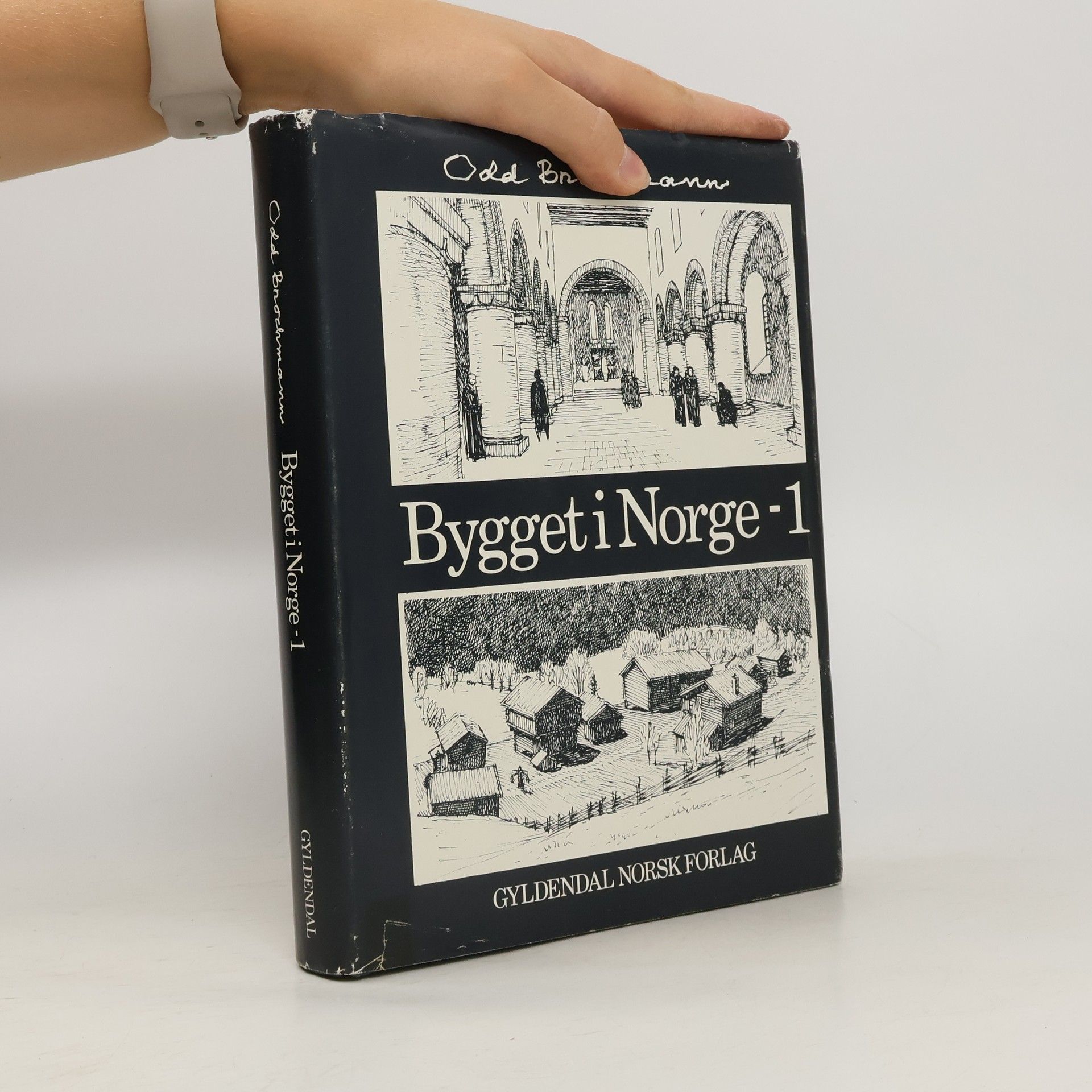 Brochmann Odd Bygget i Norge 1