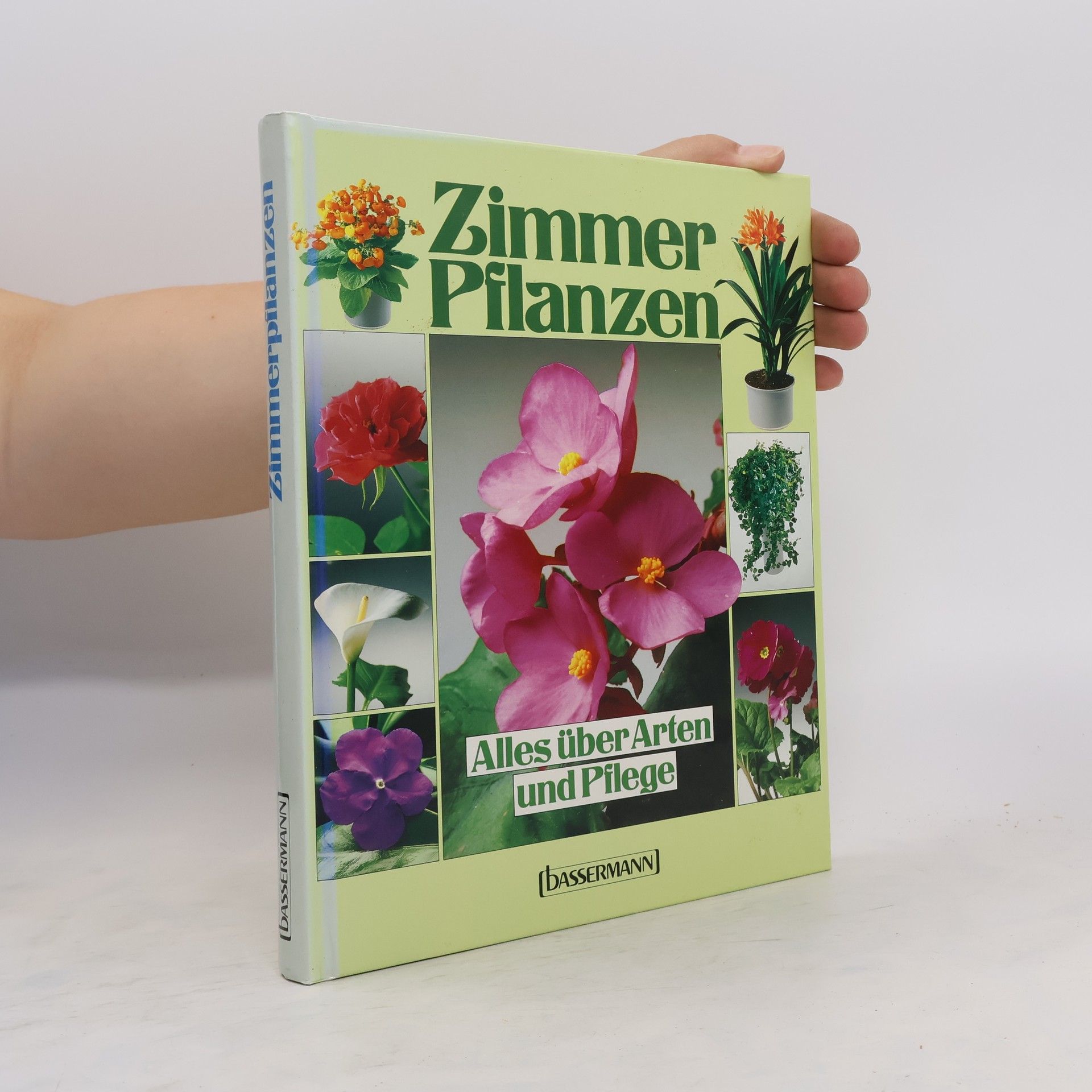 Notger Kiesel Zimmerpflanzen