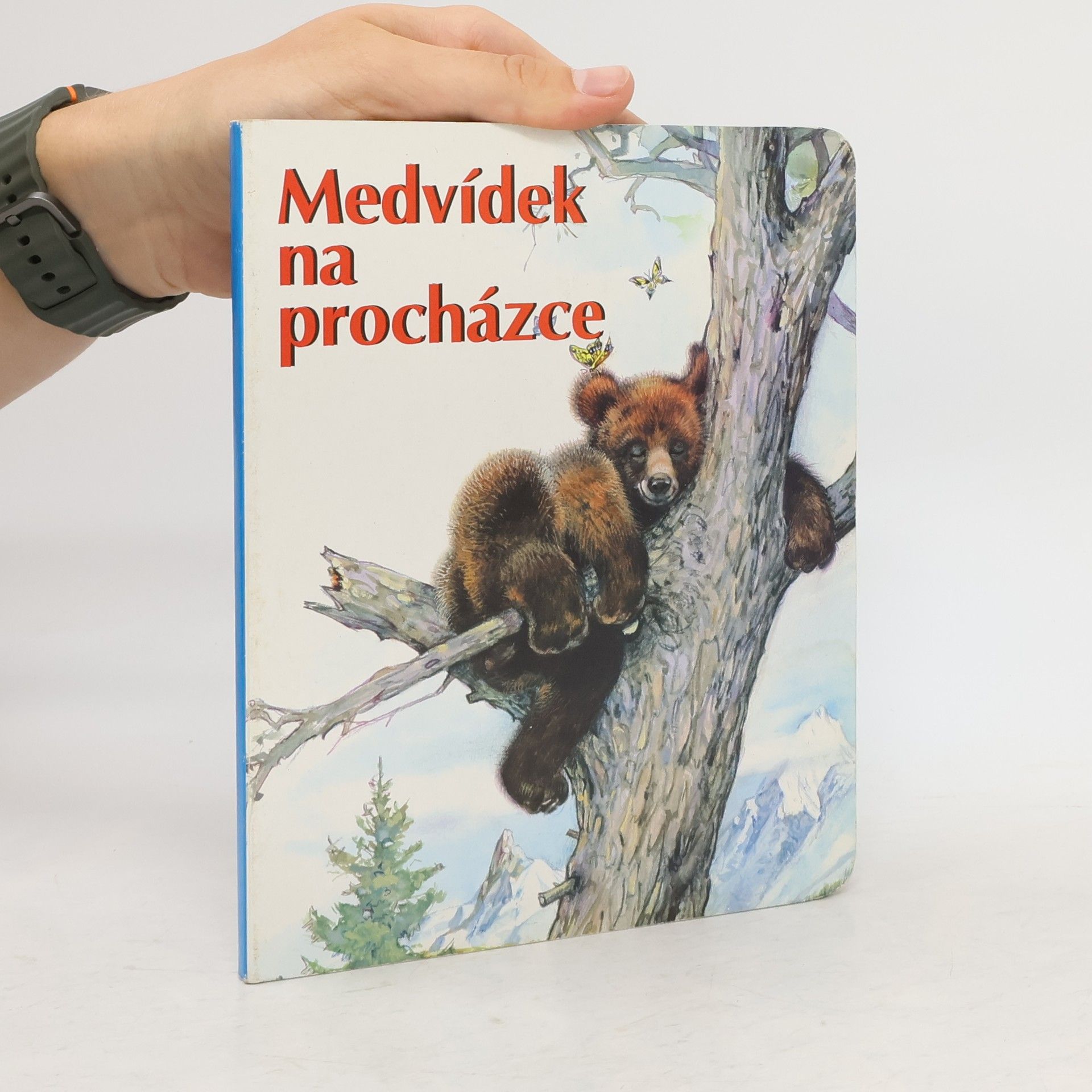 Collectif d'auteurs Medvídek na procházce