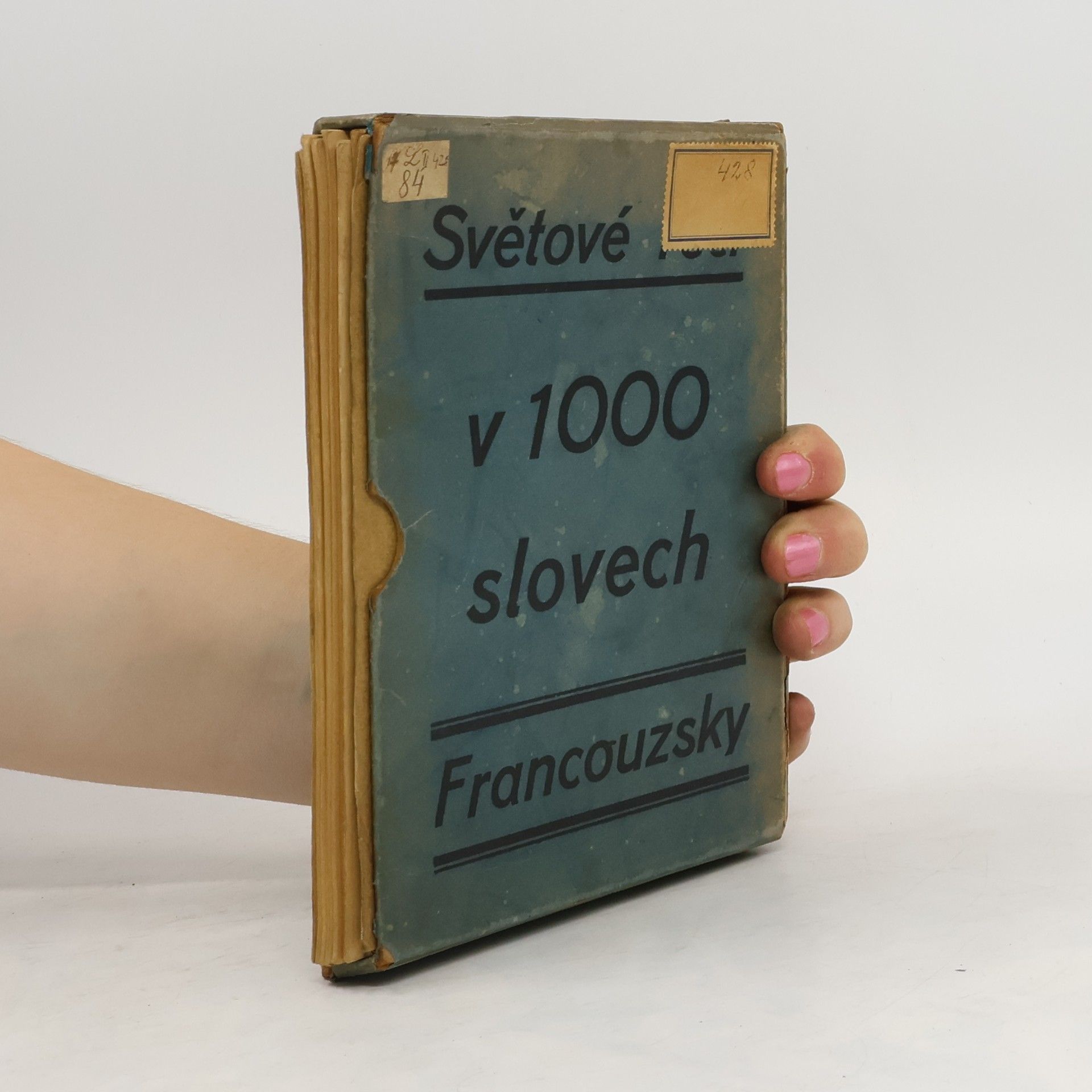 Ch. Bouchholtz Francouzsky v 1000 slovech