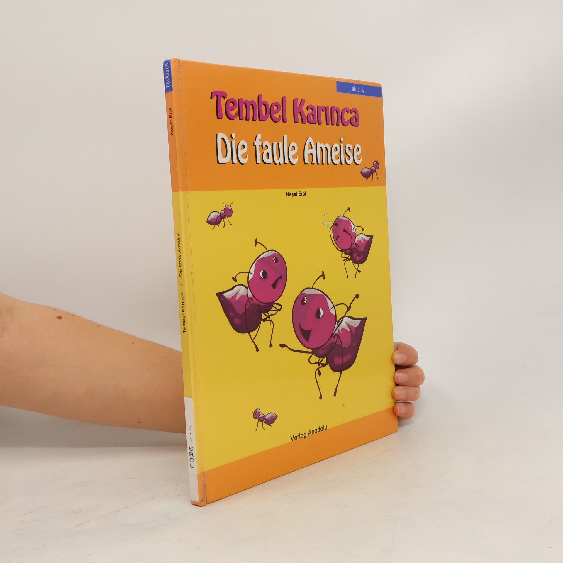 Autorenkollektiv Tembel karınca. Die faule Ameise