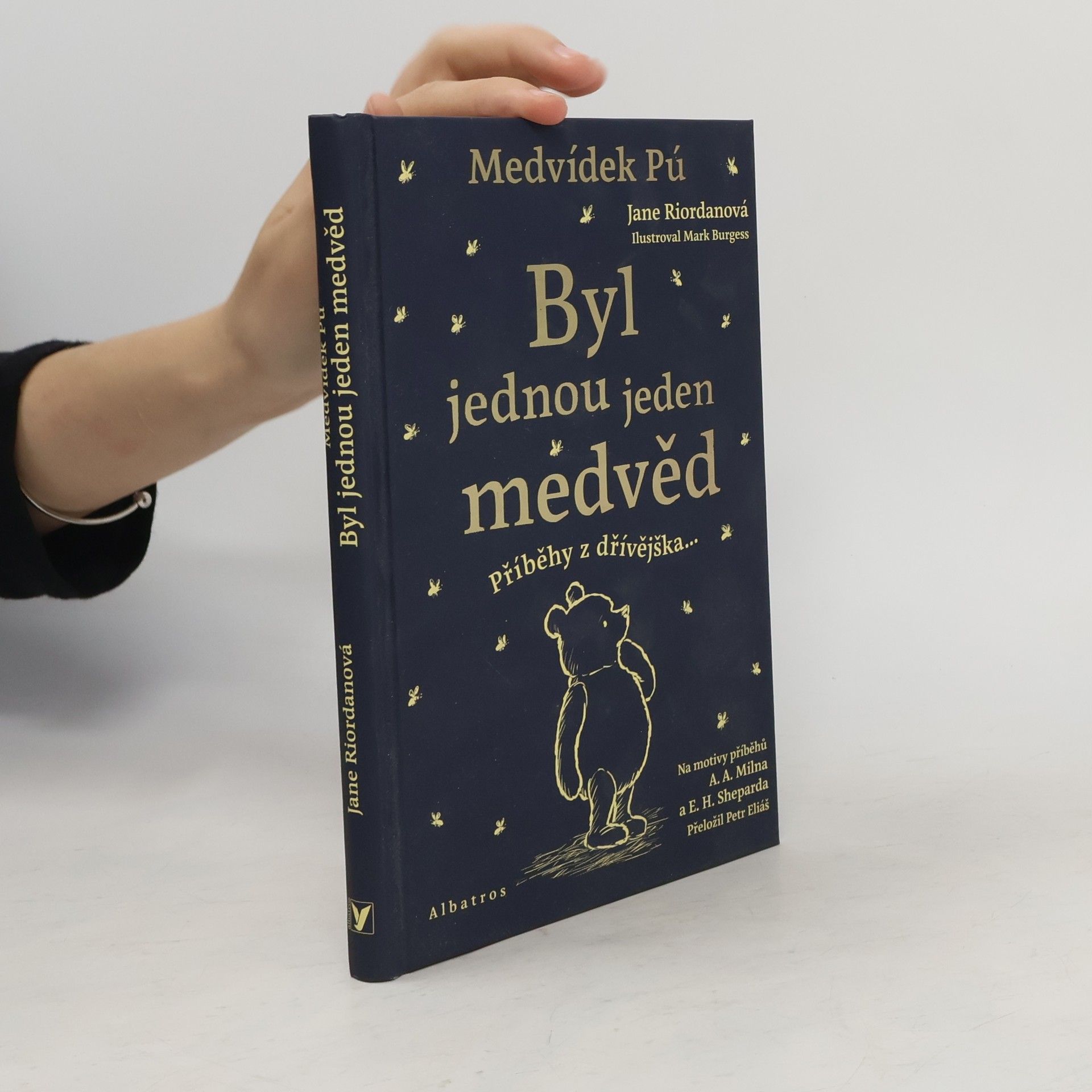 Jane Riordan Medvídek Pú. Byl jednou jeden medvěd