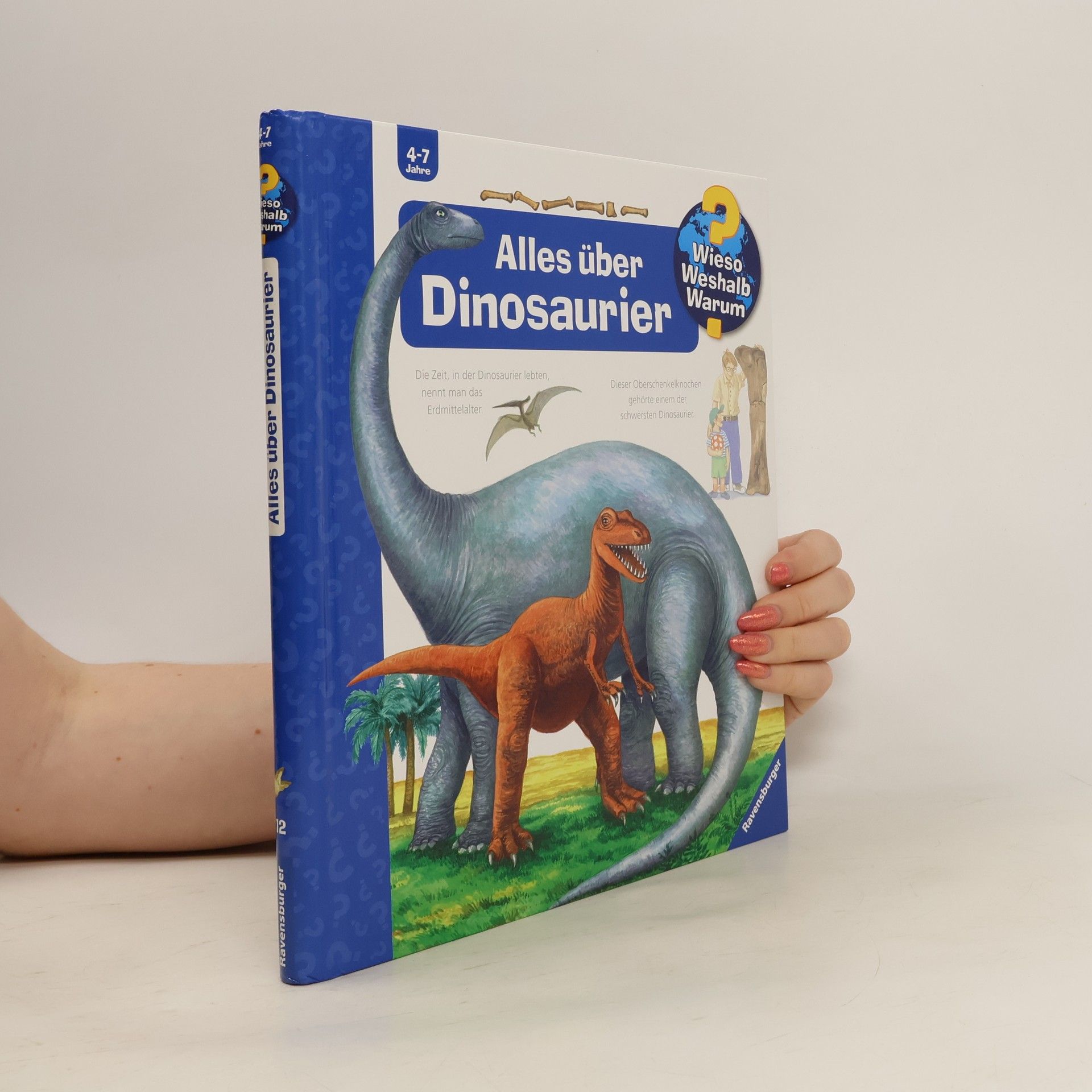Autorenkollektiv Alles über Dinosaurier