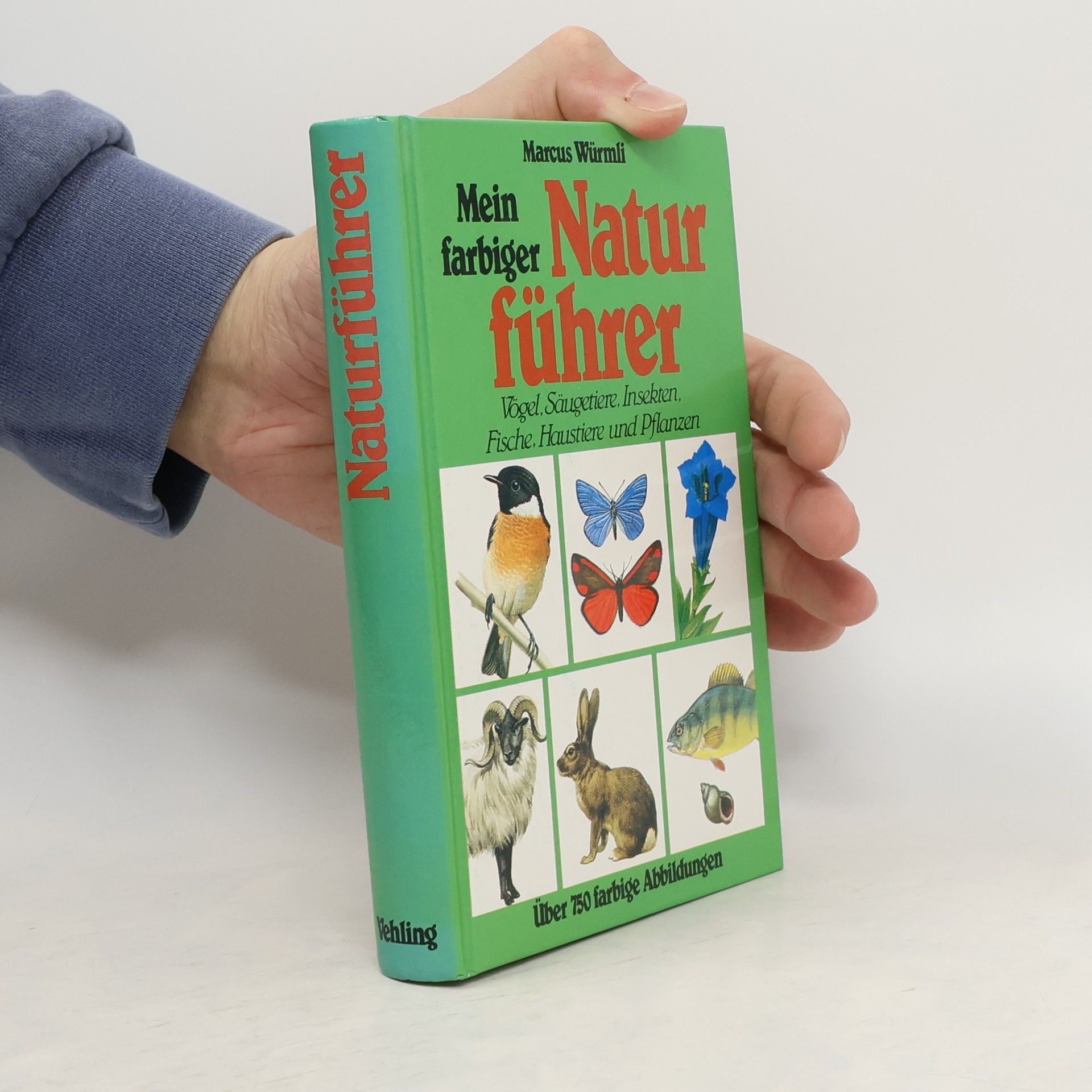 Marcus Würmli Mein farbiger Naturführer