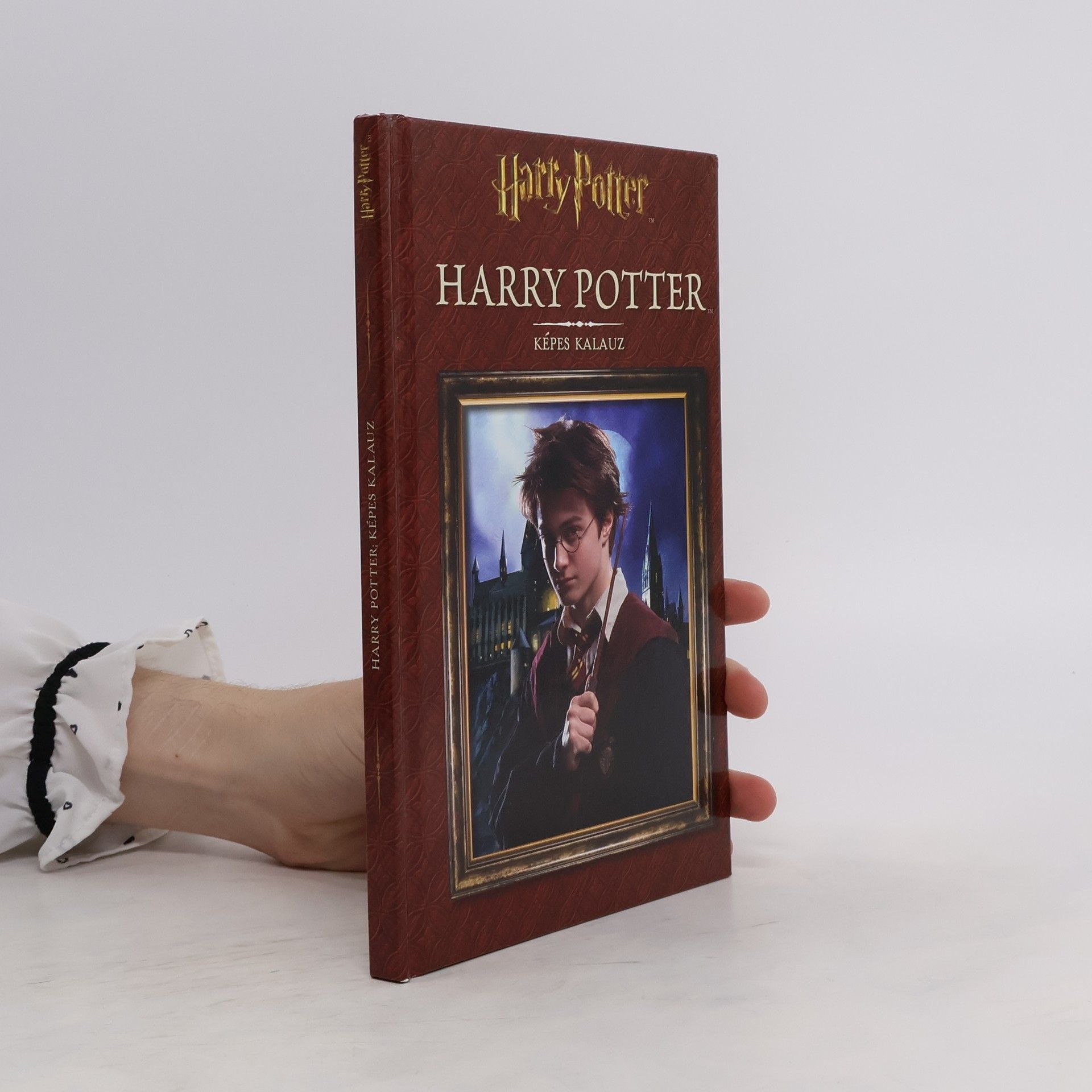 Kolektiv autorů Harry Potter. Képes Kalauz