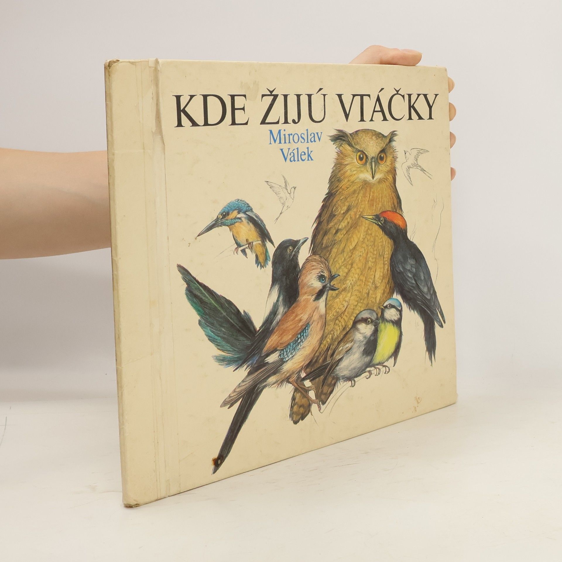 Miroslav Válek Kde žijú vtáčky