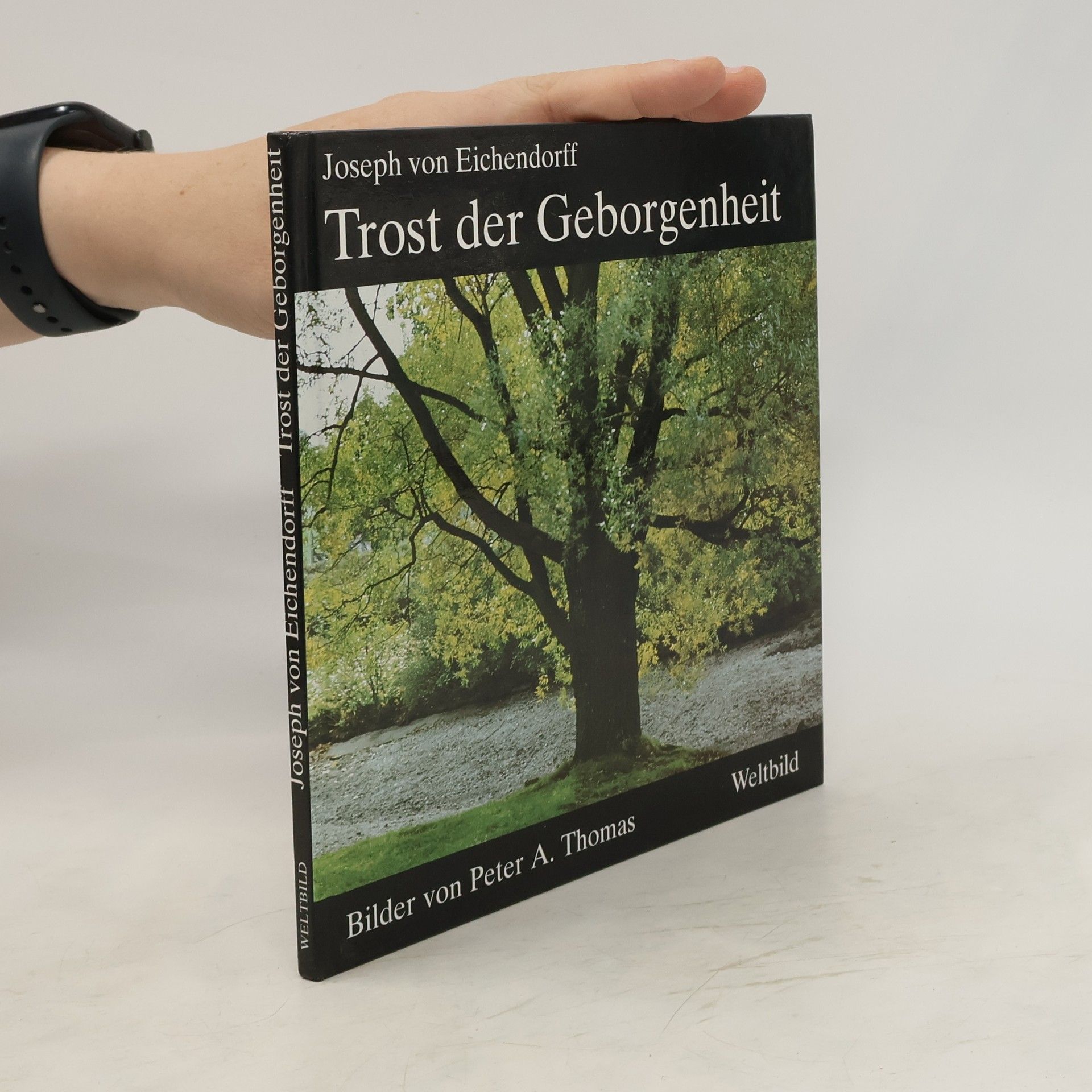 Joseph von Eichendorff Trost der Geborgenheit