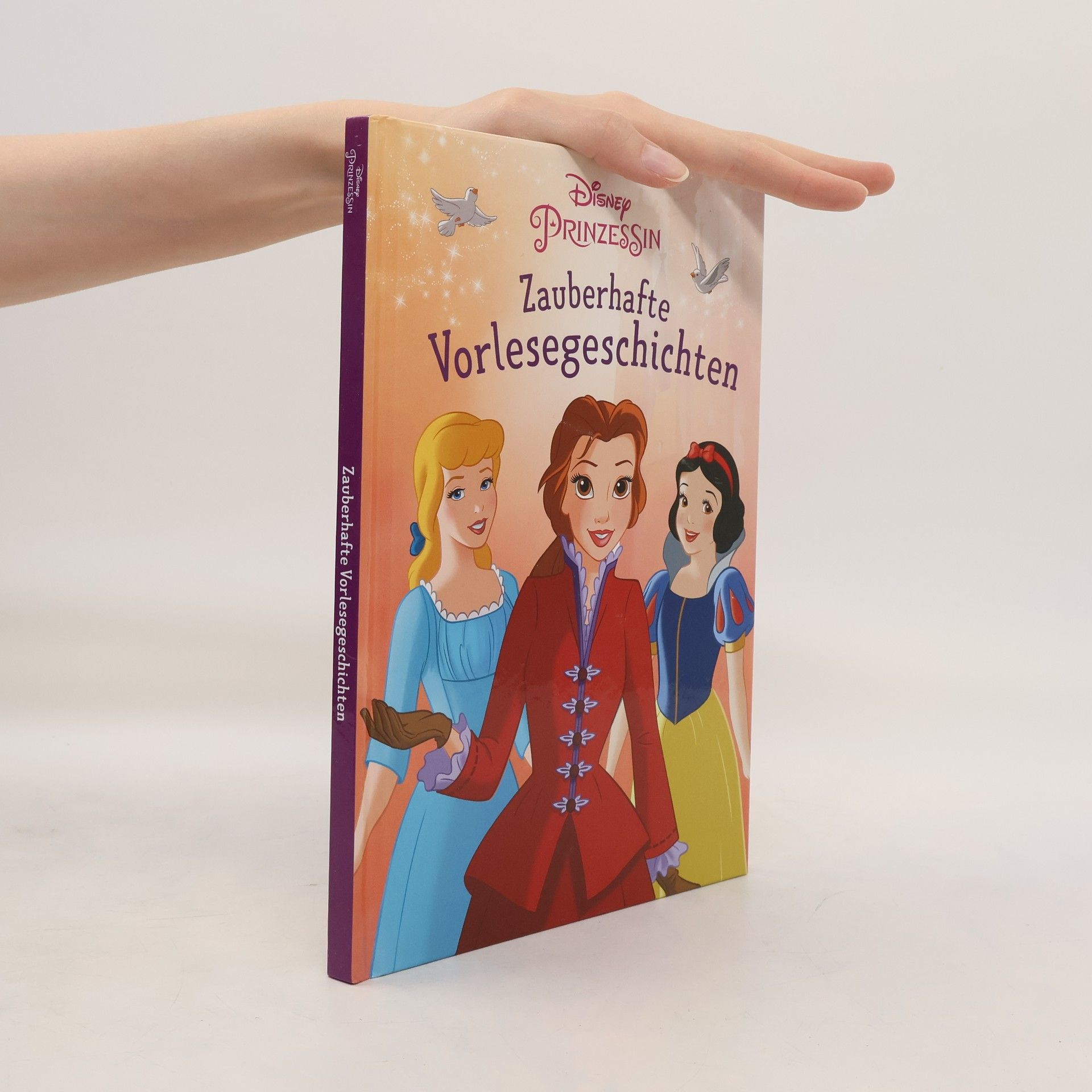 Walt Disney Disney Prinzessin. Zauberhafte Vorlesegeschichten