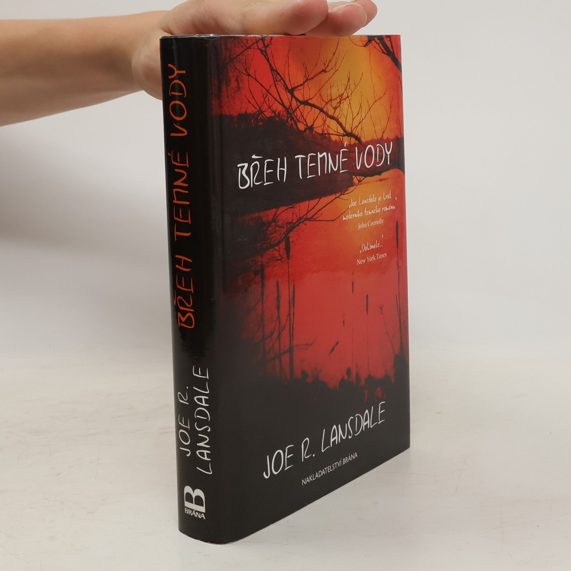 Joe R. Lansdale Břeh temné vody