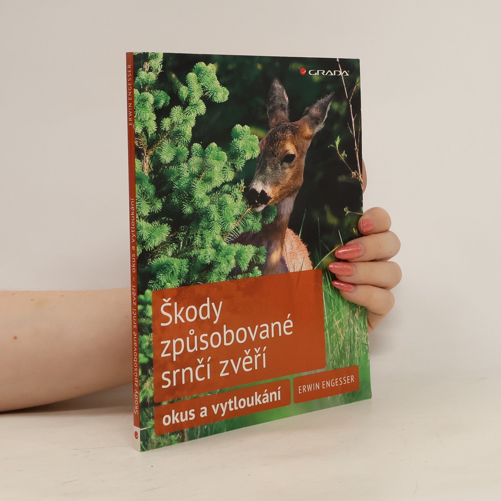 Erwin Engesser Škody způsobované srnčí zvěří - okus a vytloukání
