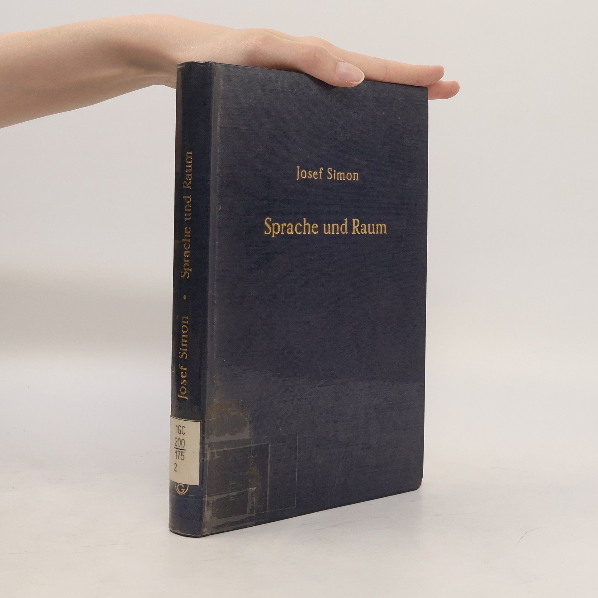 Josef Šimon Sprache und Raum