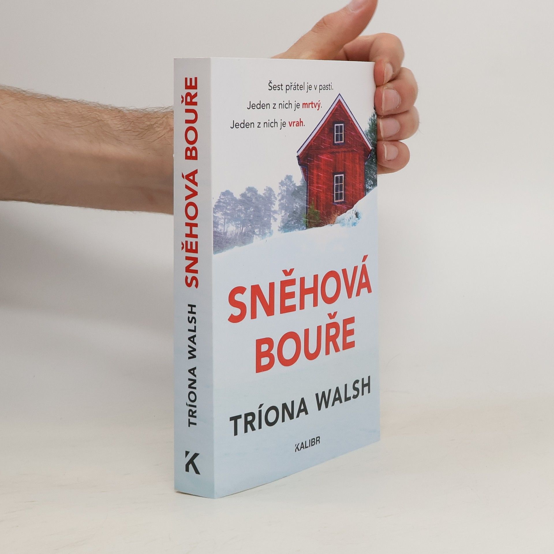 Tríona Walsh Sněhová bouře