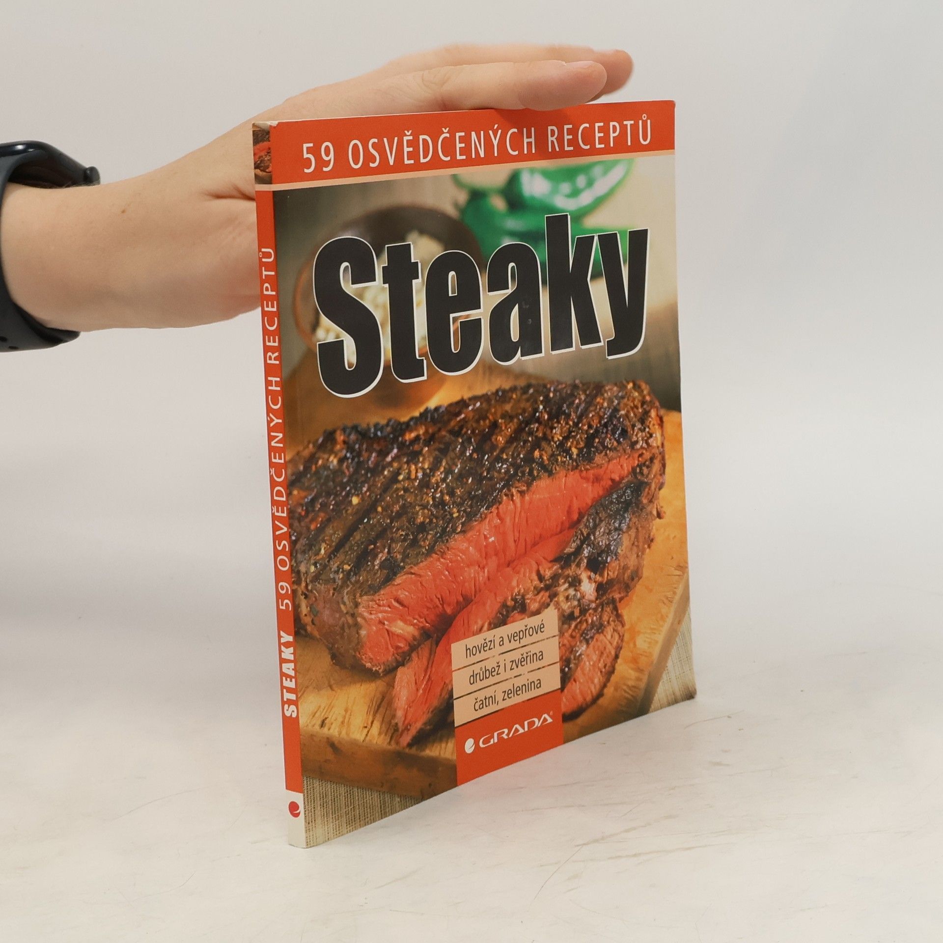 Collectif d'auteurs Steaky - 59 osvědčených receptů
