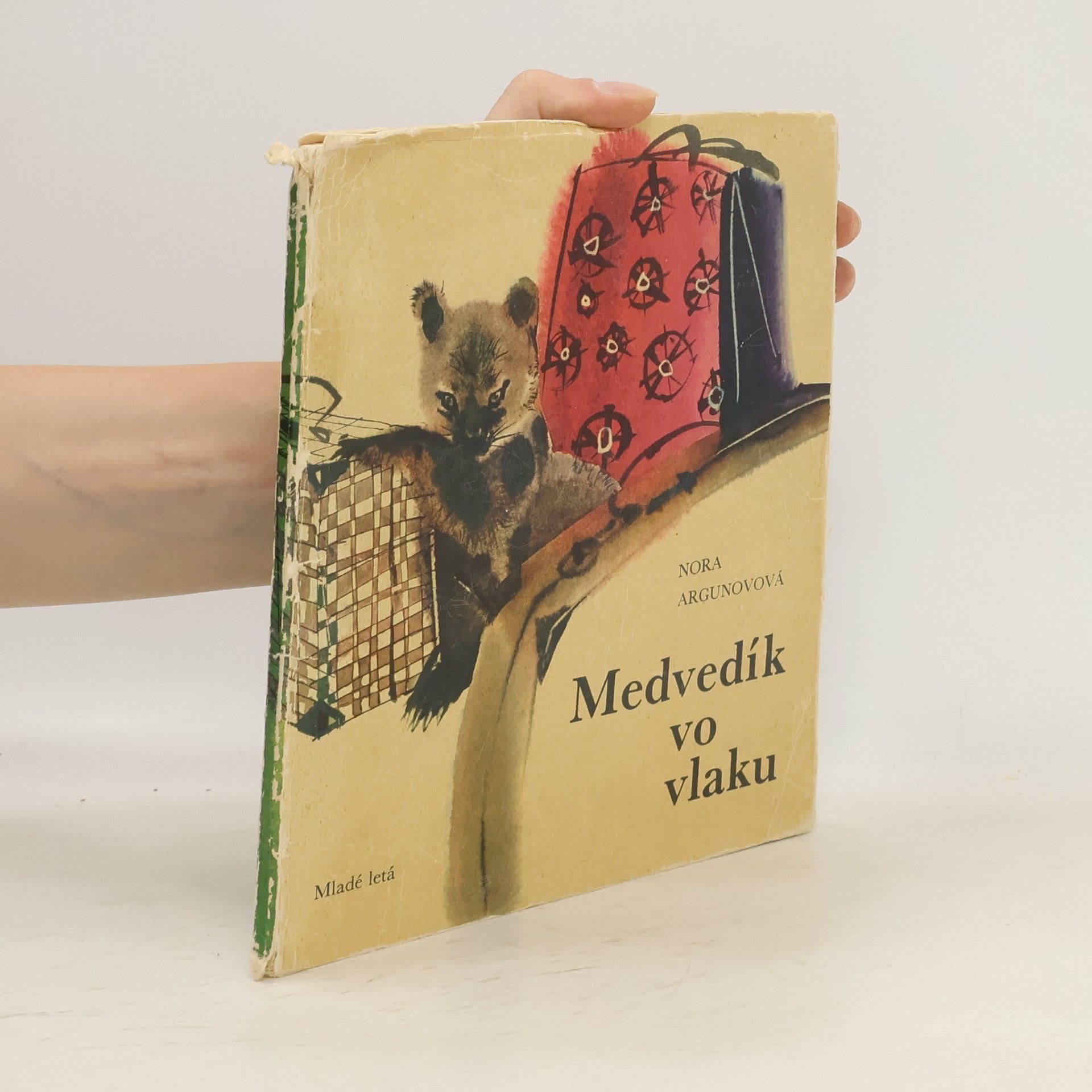 Nora Borisovna Argunova Medvedík vo vlaku