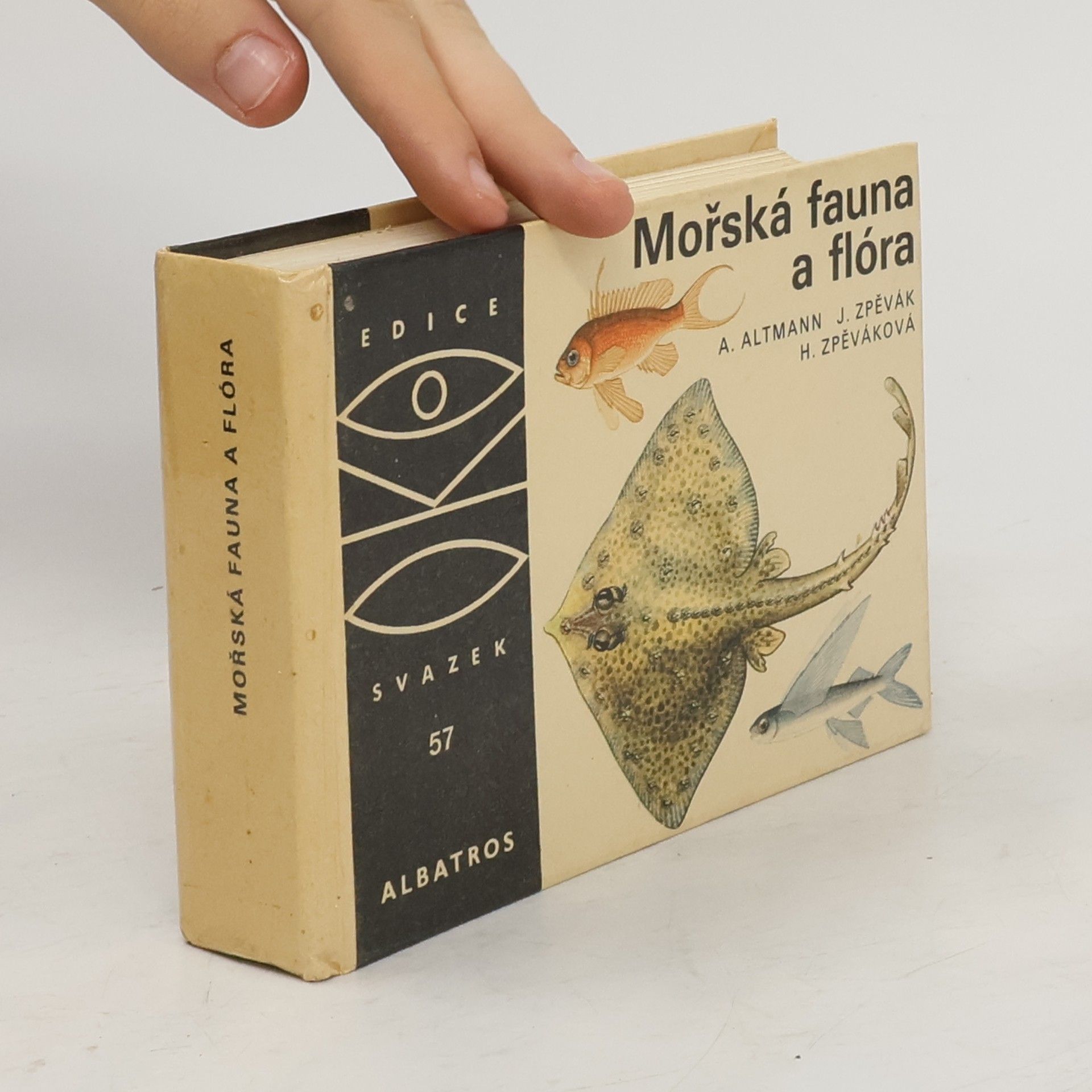 Antonín Altmann Mořská fauna a flóra