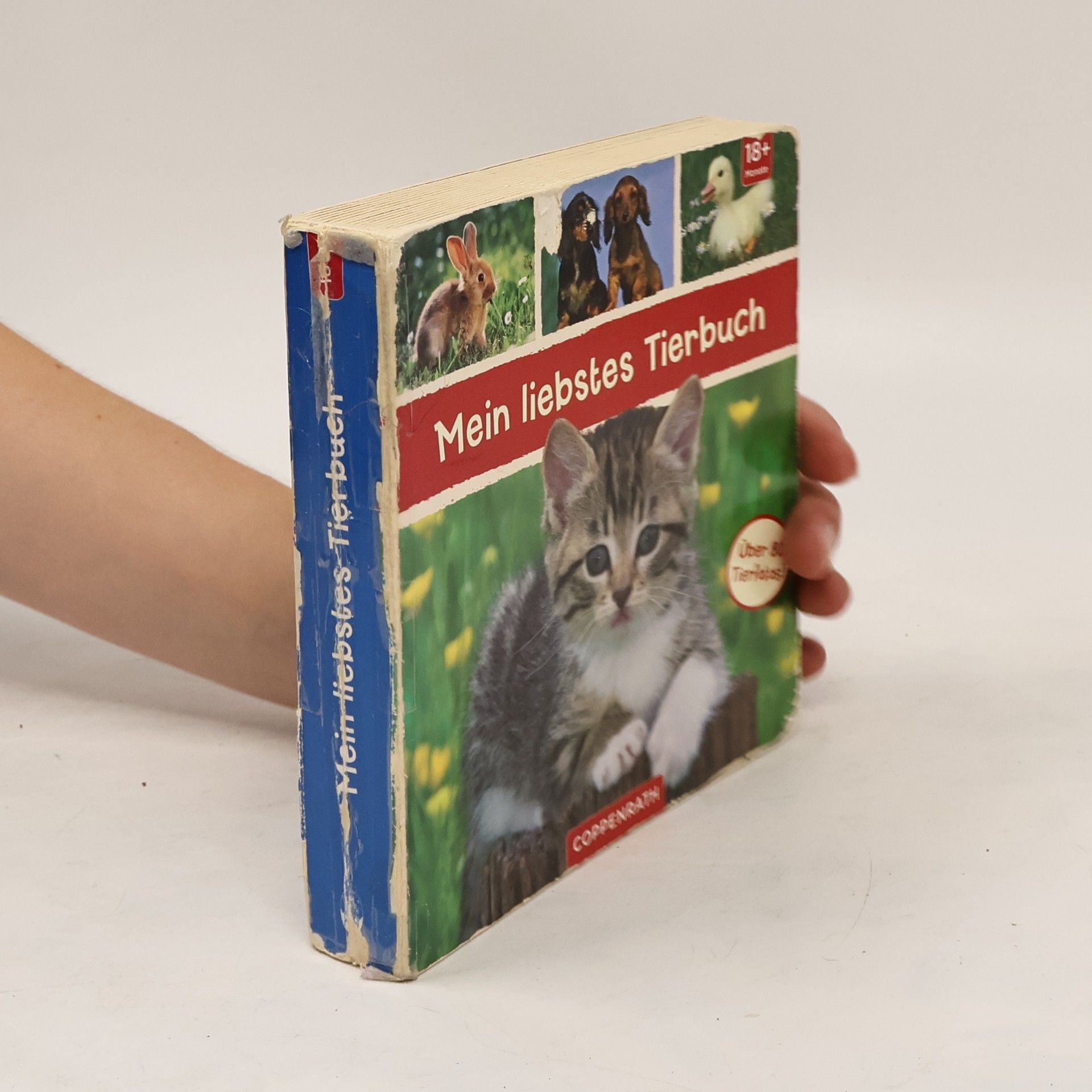 Autores varios Mein liebstes Tierbuch