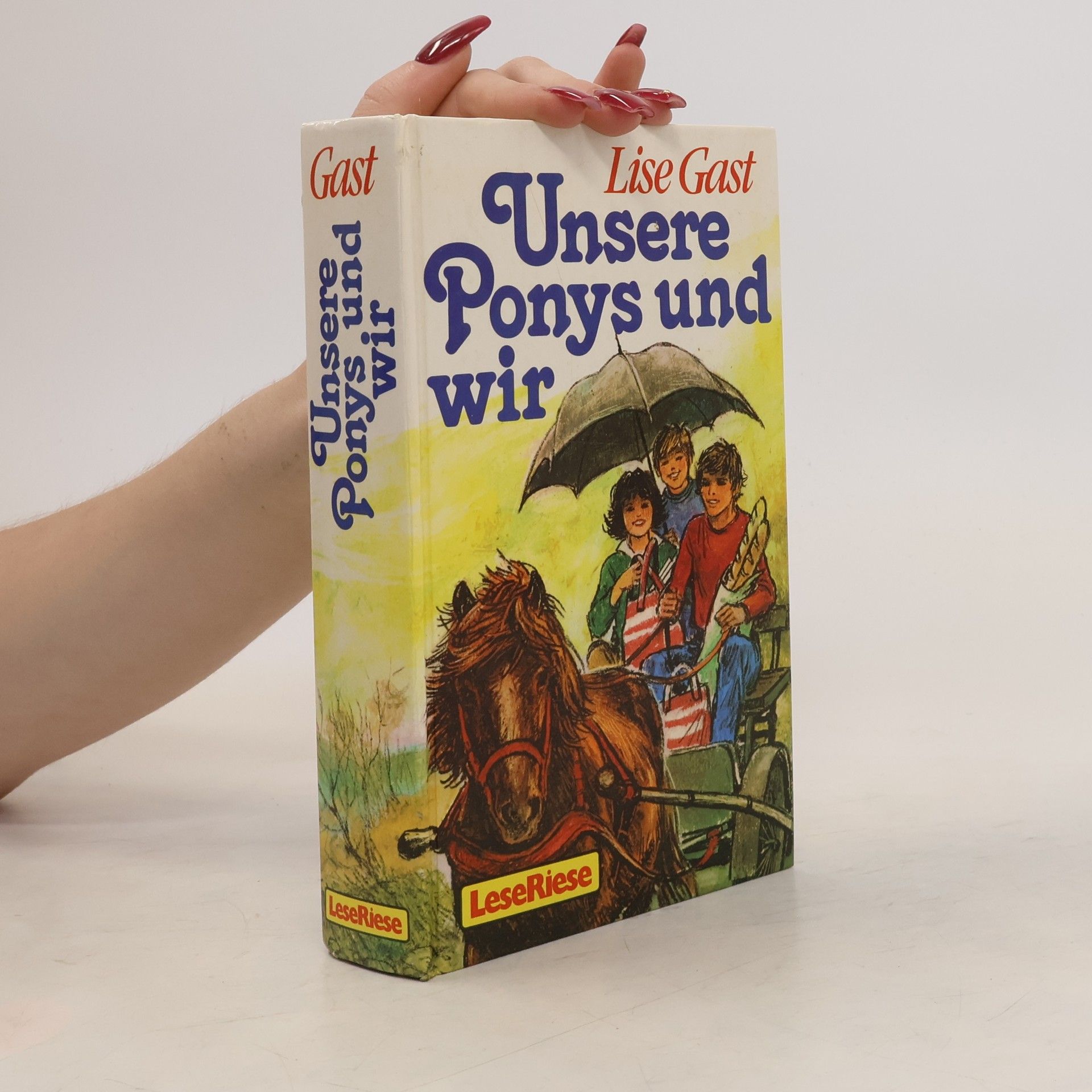 Lise Gast Unsere Ponys und wir