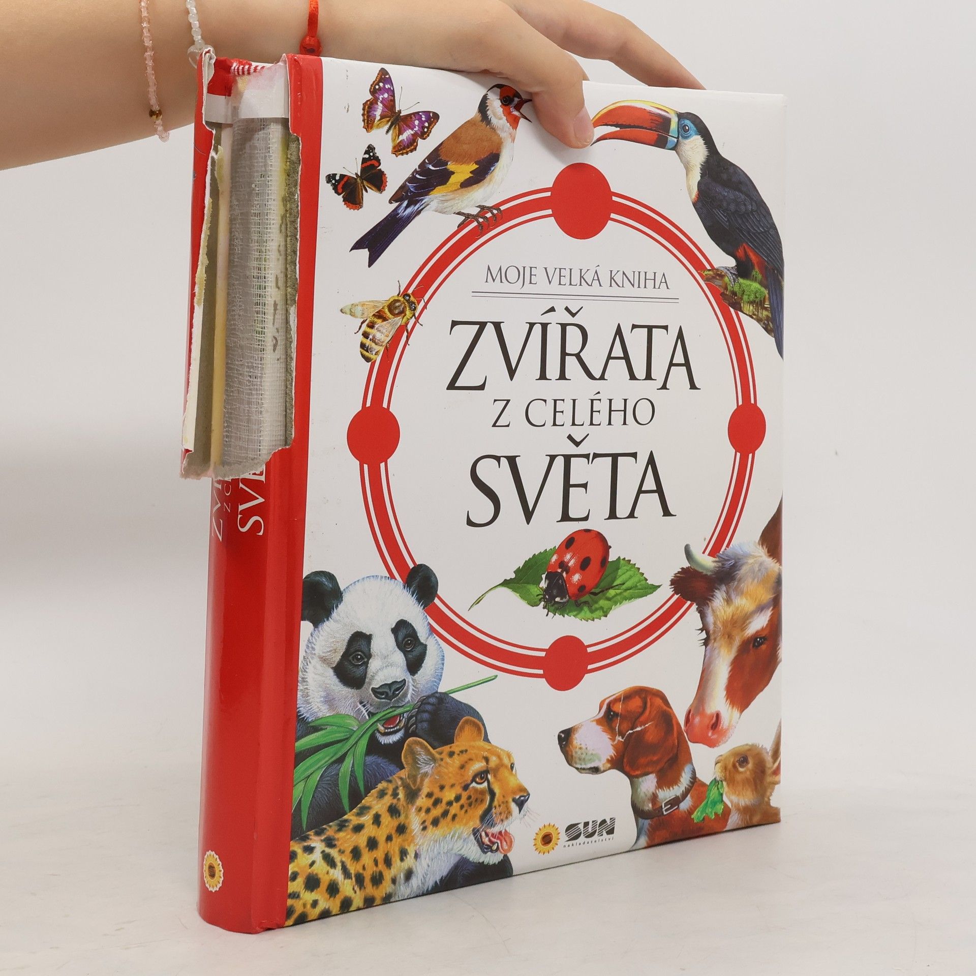 Ladislav Janovec Český rok : včera a dnes