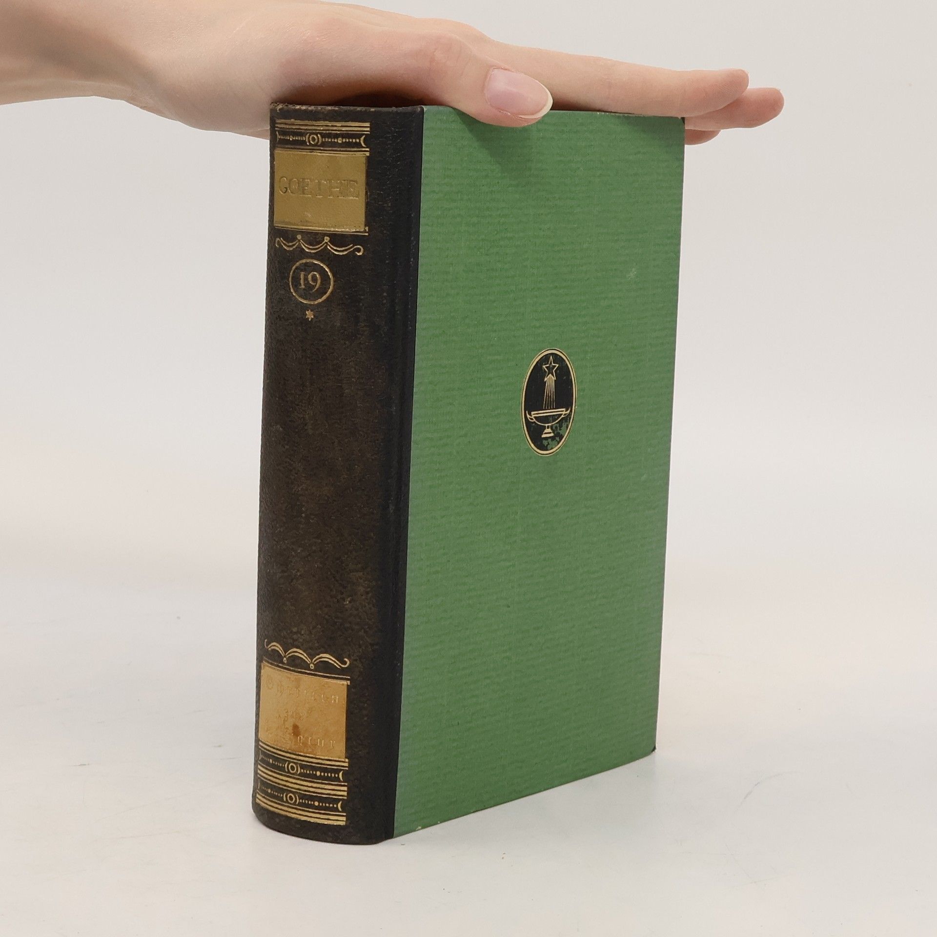Paul Wiegler Schriften zur Literatur