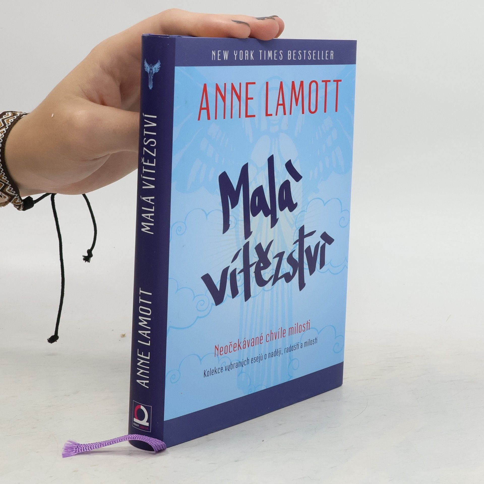 Anne Lamott Malá vítězství