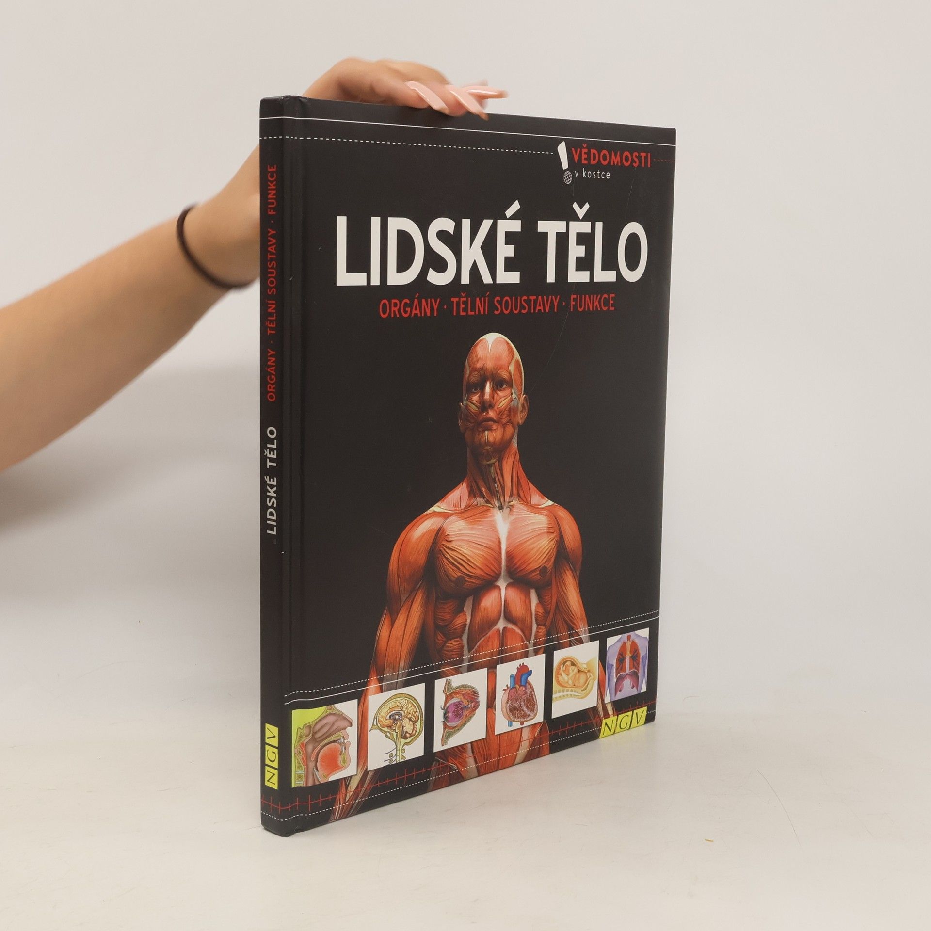 kolektiv Lidské tělo. Orgány, tělní soustavy, funkce