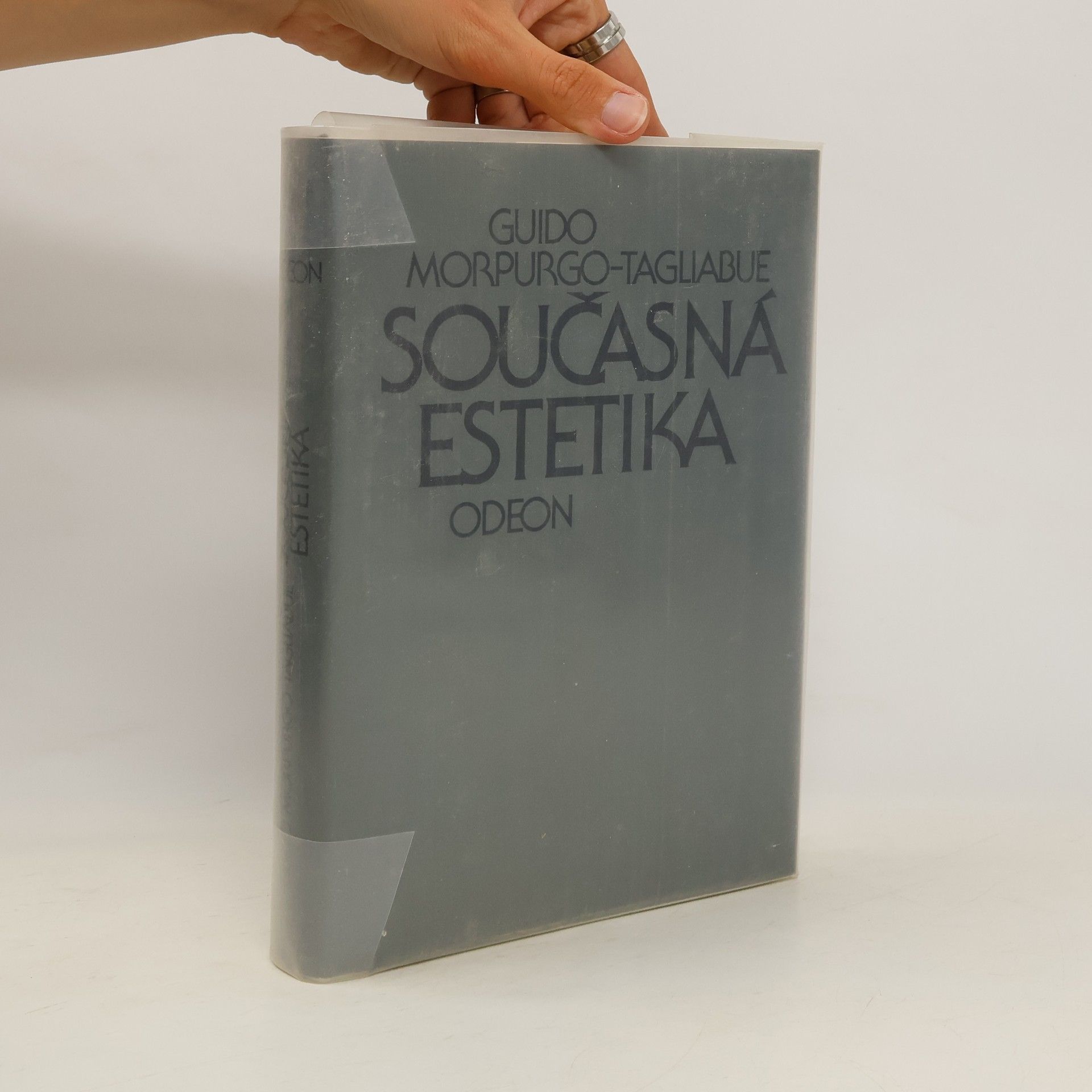 Guido Morpurgo Tagliabue Současná estetika
