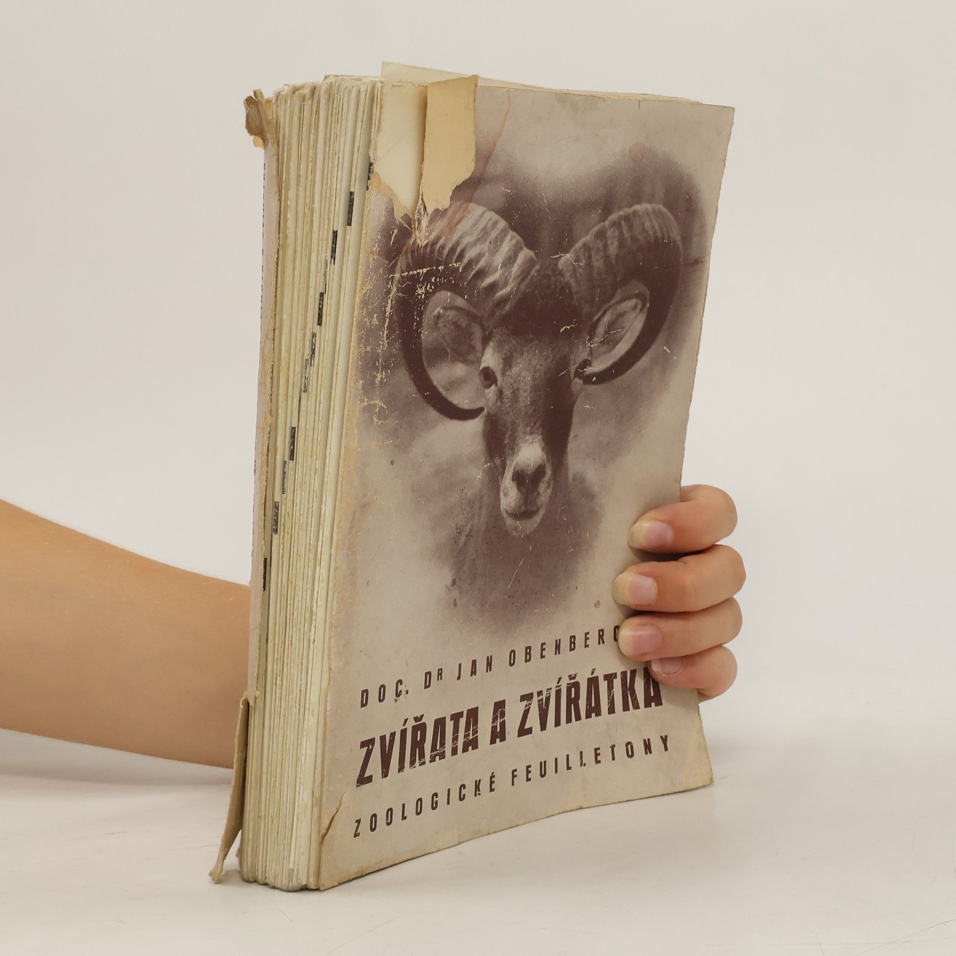 Jan Obenberger Zvířata a zvířátka. Zoologické feuilletony