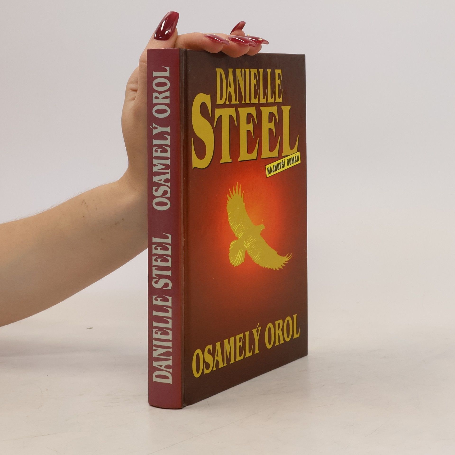 Danielle Steel Osamelý orol