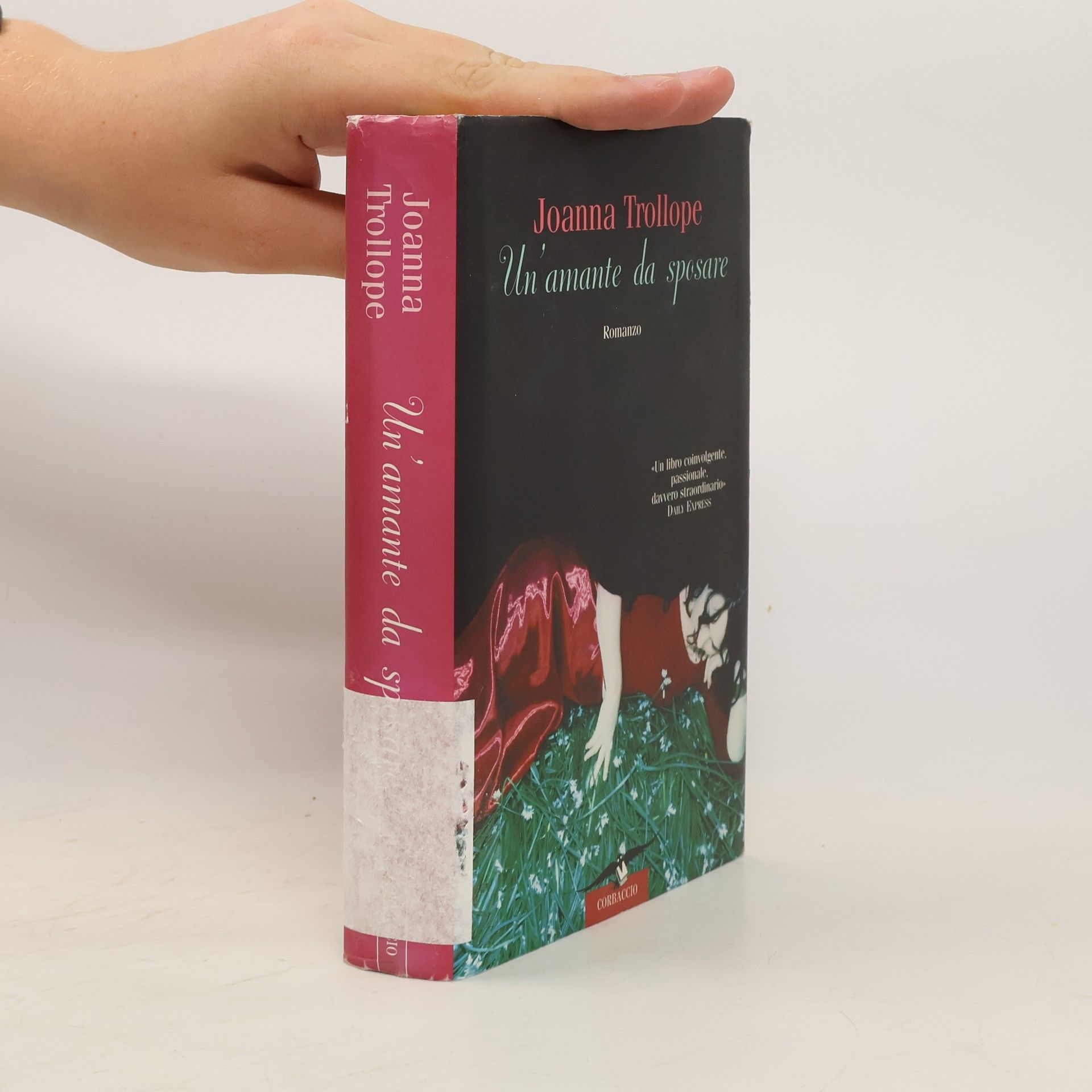 Joanna Trollope Un'amante da sposare