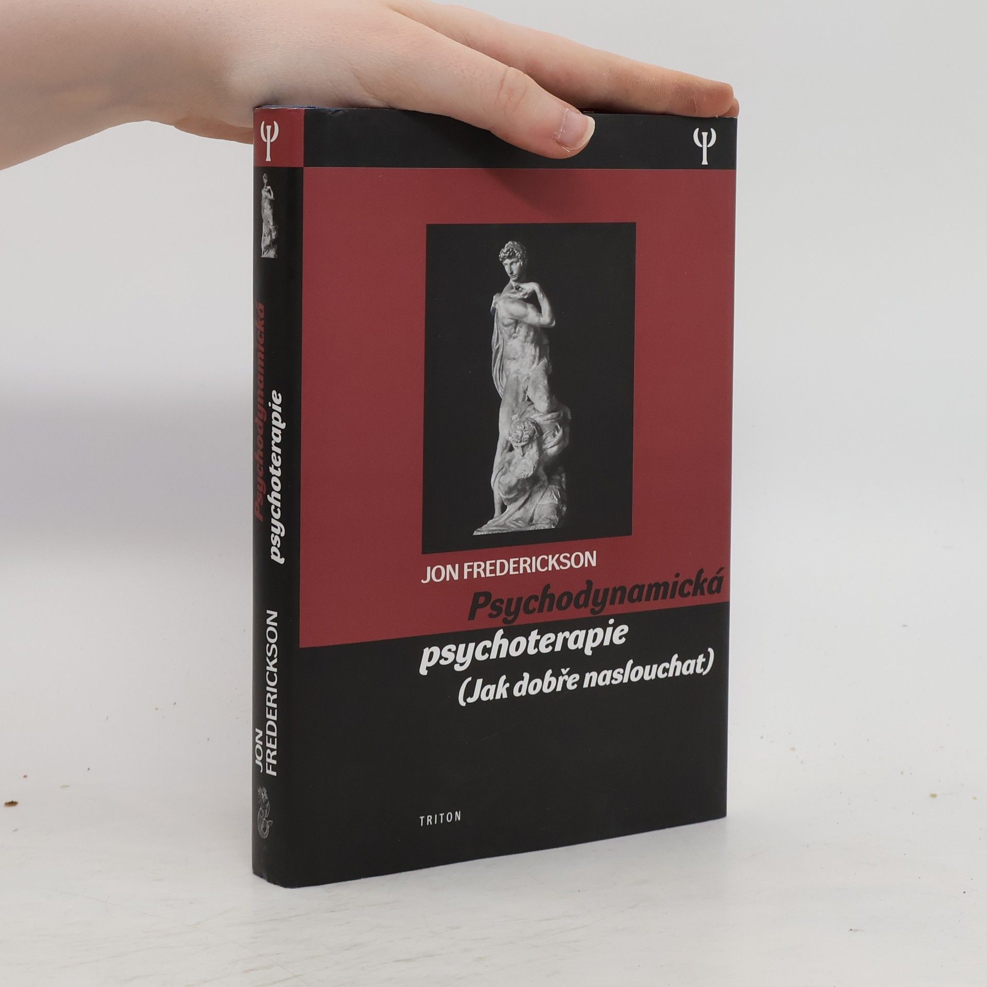 Jon Frederickson Psychodynamická psychoterapie : (jak dobře naslouchat)