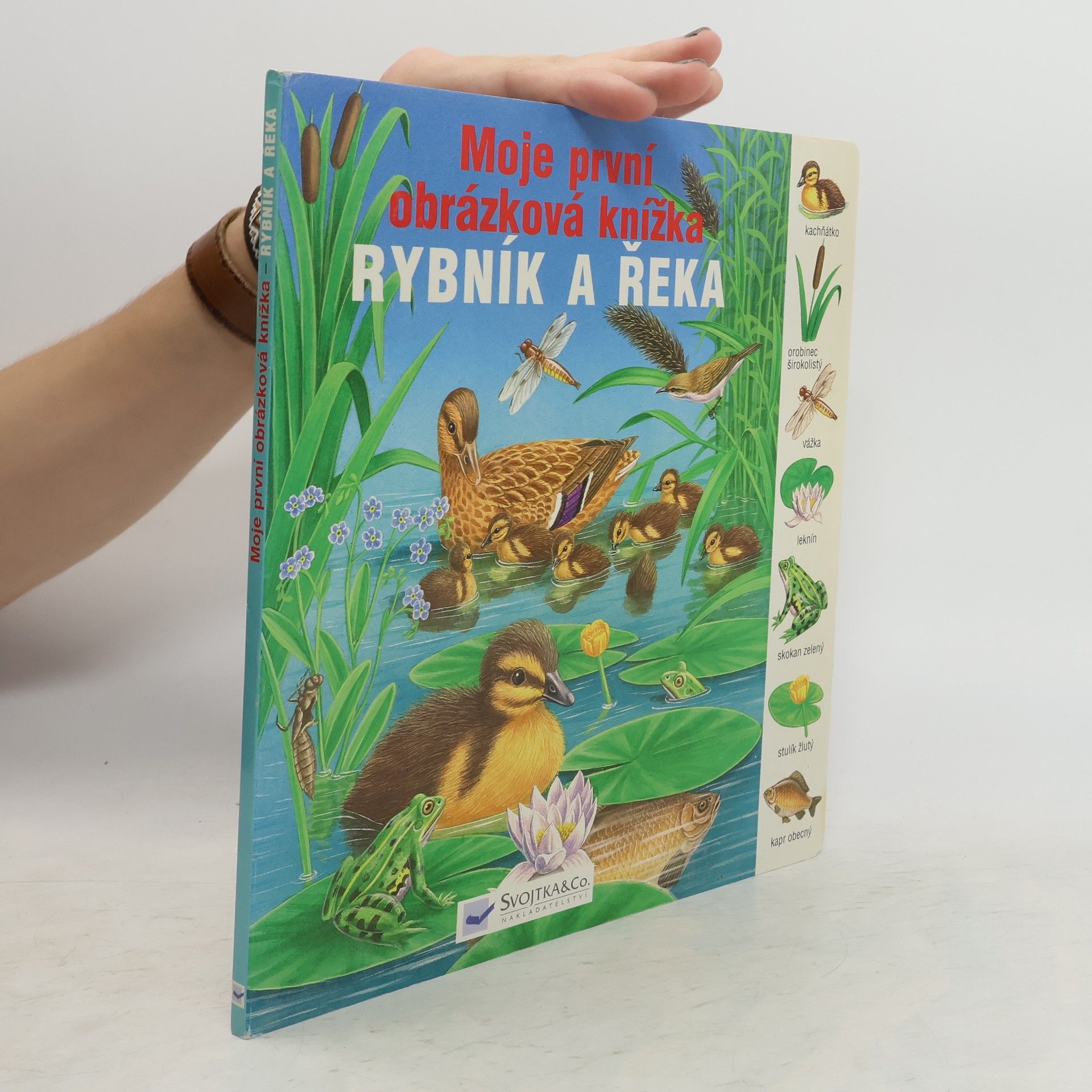 Gisela Fischer-Lingat Rybník a řeka – moje první obrázková knížka