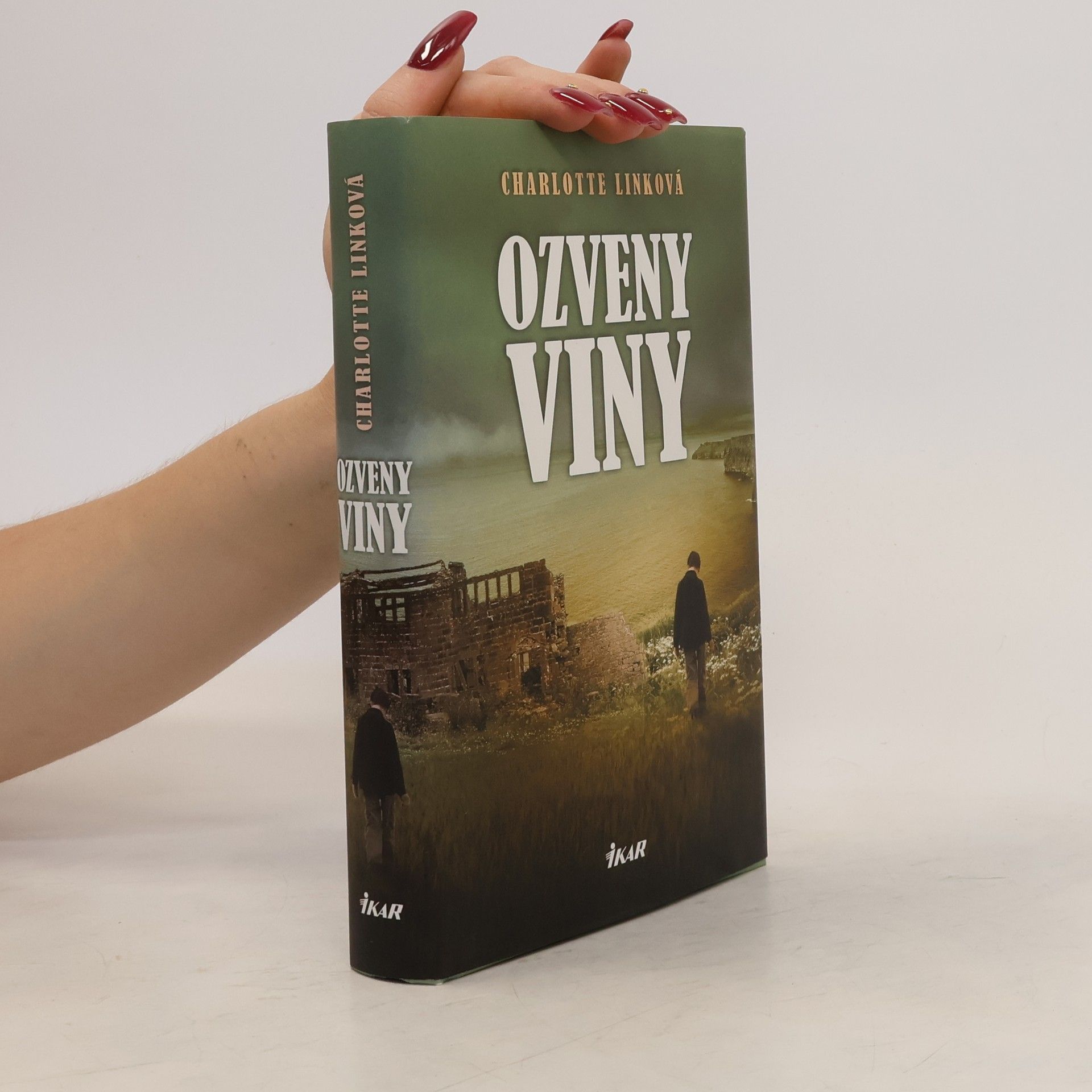 Charlotte Link Ozveny viny