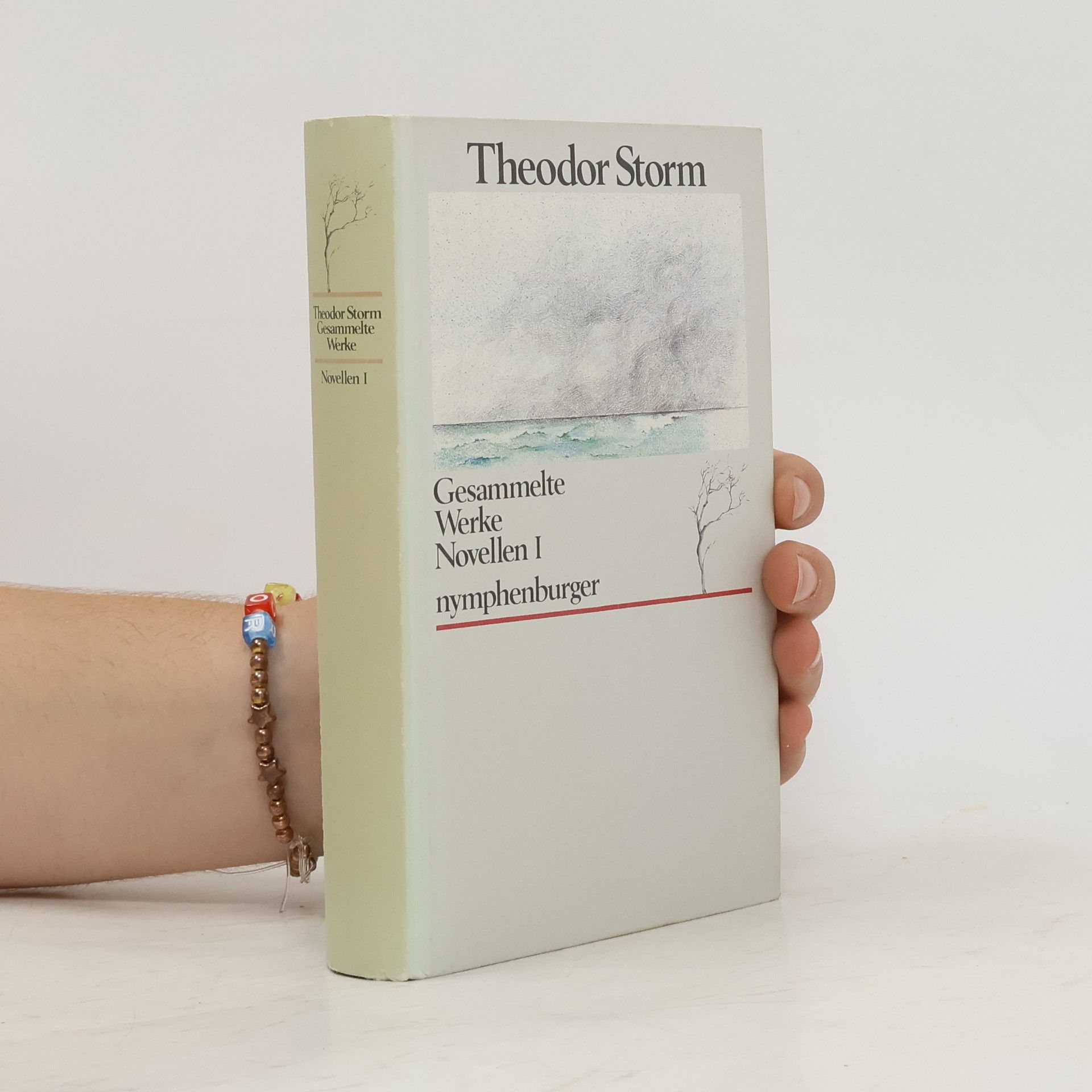 Theodor Storm Gesammelte Werke: Novellen I